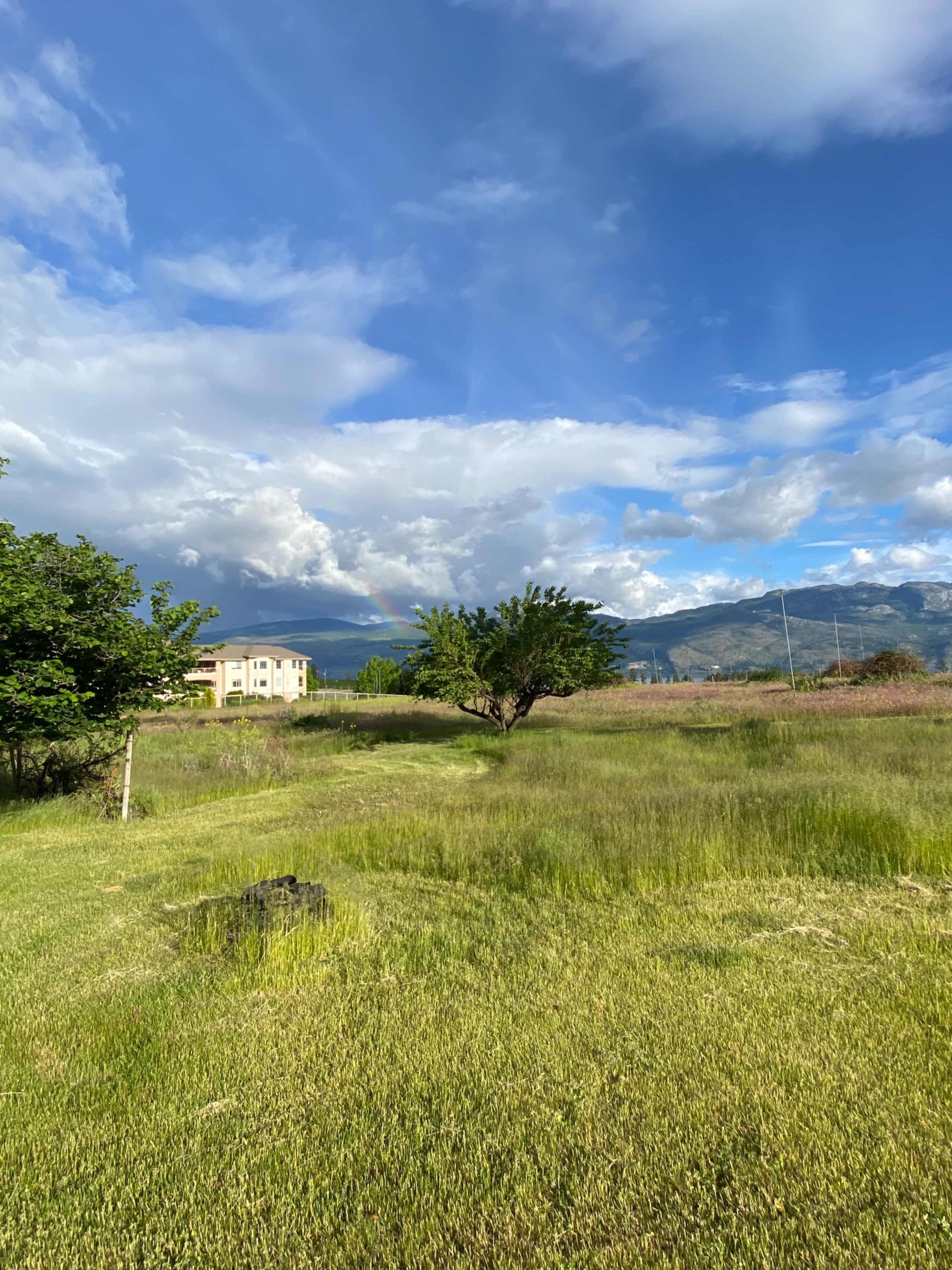 A grassy field stretches toward a distant tree and a building, with clouds and a rainbow visible in the sky.