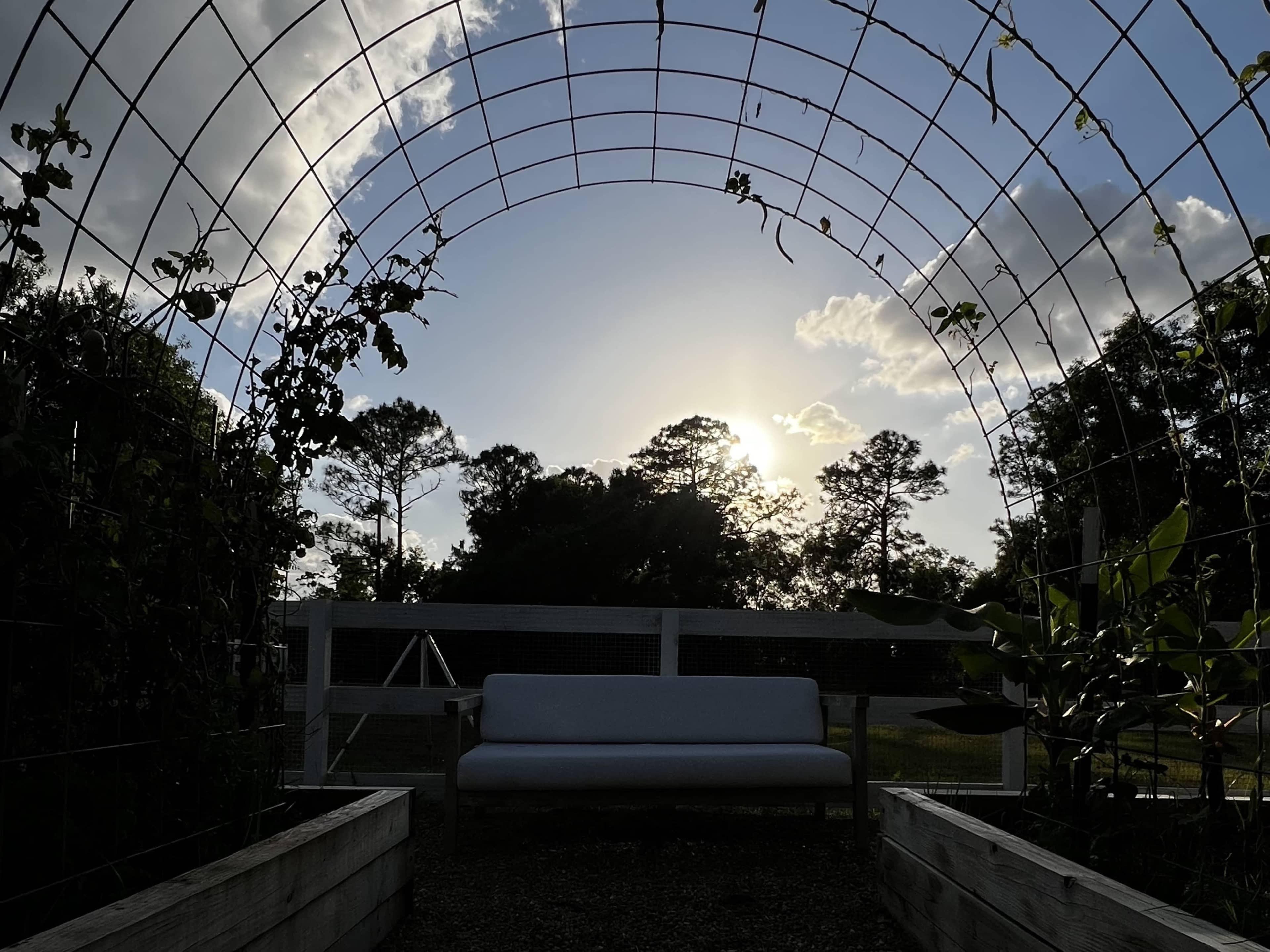 A simple bench is framed by an arched trellis in a garden at sunset, with clouds and trees in the background.