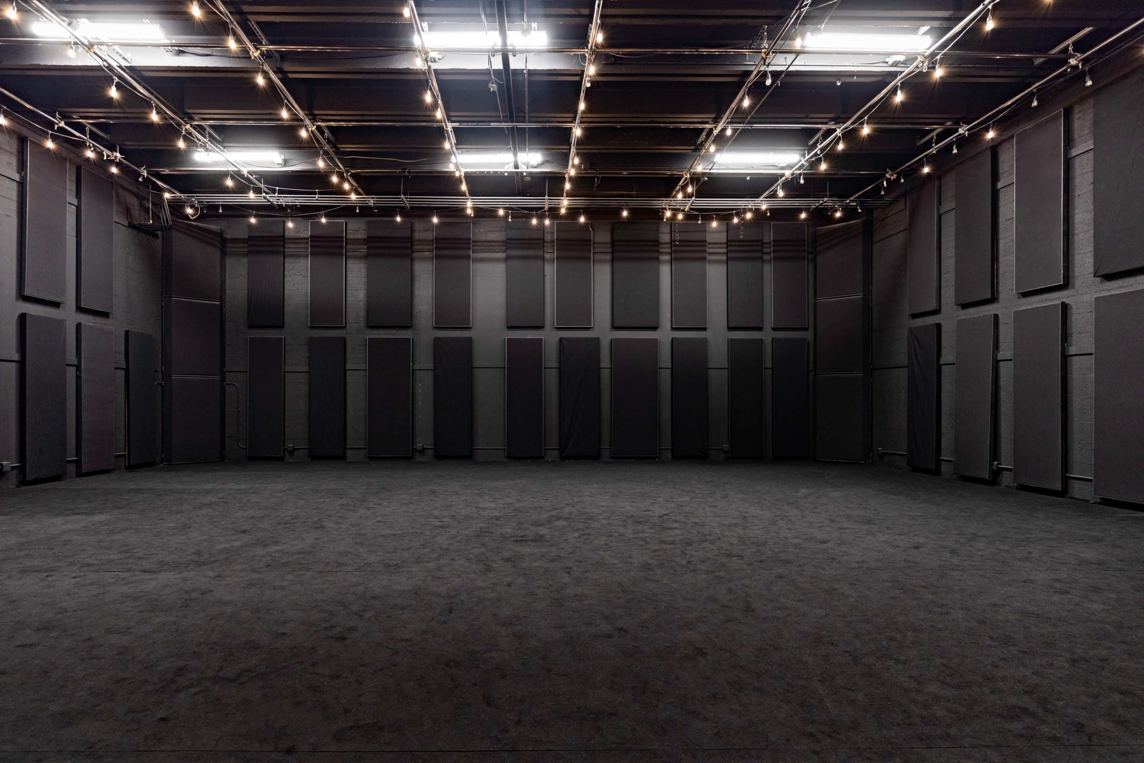 A spacious, empty room with black walls and low hanging lights, featuring a carpeted floor.