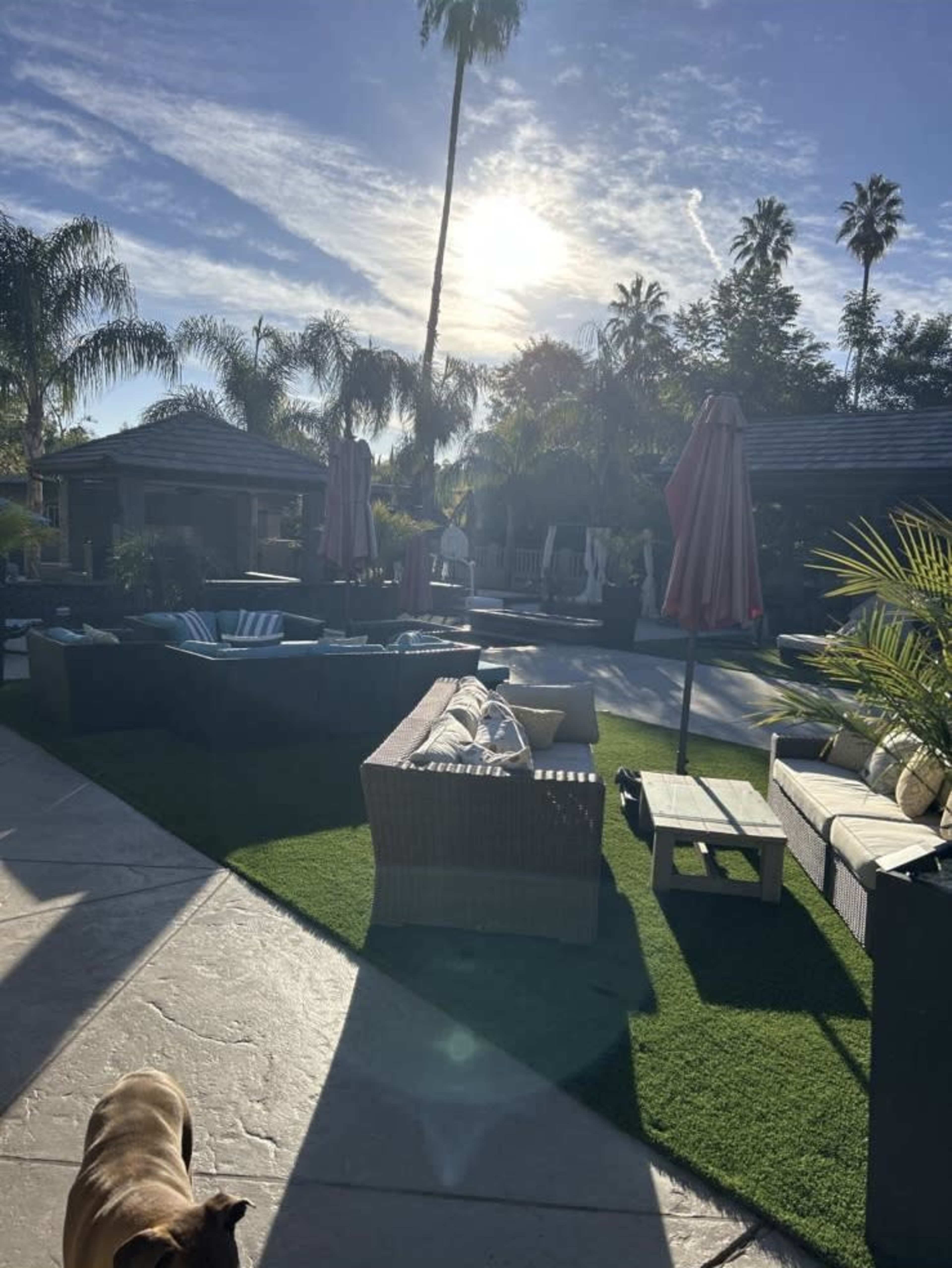 Luxury Oasis Backyard with Pool, Spa, BBQ, and Fire Features Image in Tarzana, Tarzana, CA