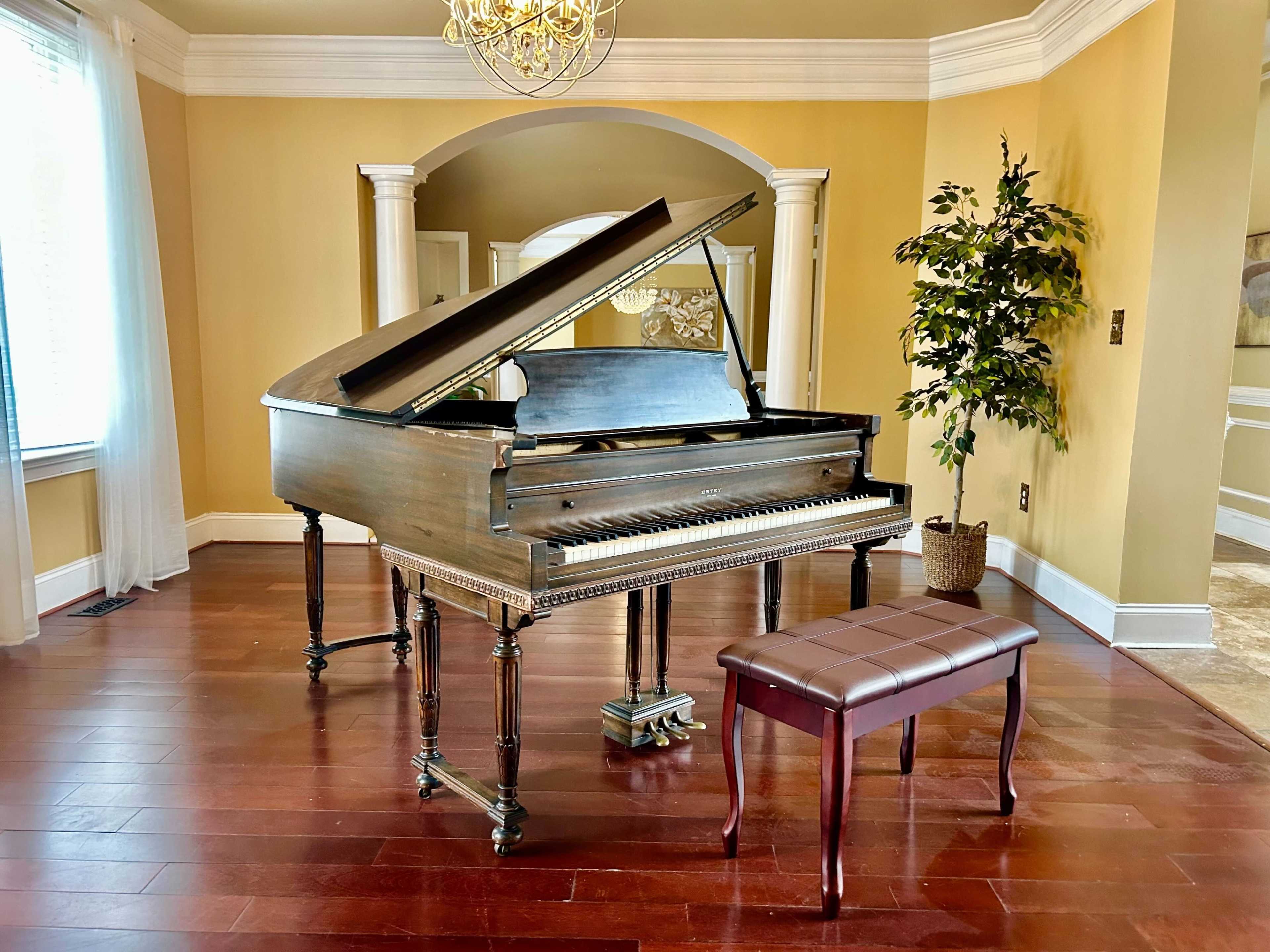 A grand piano with the lid open is positioned next to a decorative plant in a room with hardwood flooring and light-colored walls.