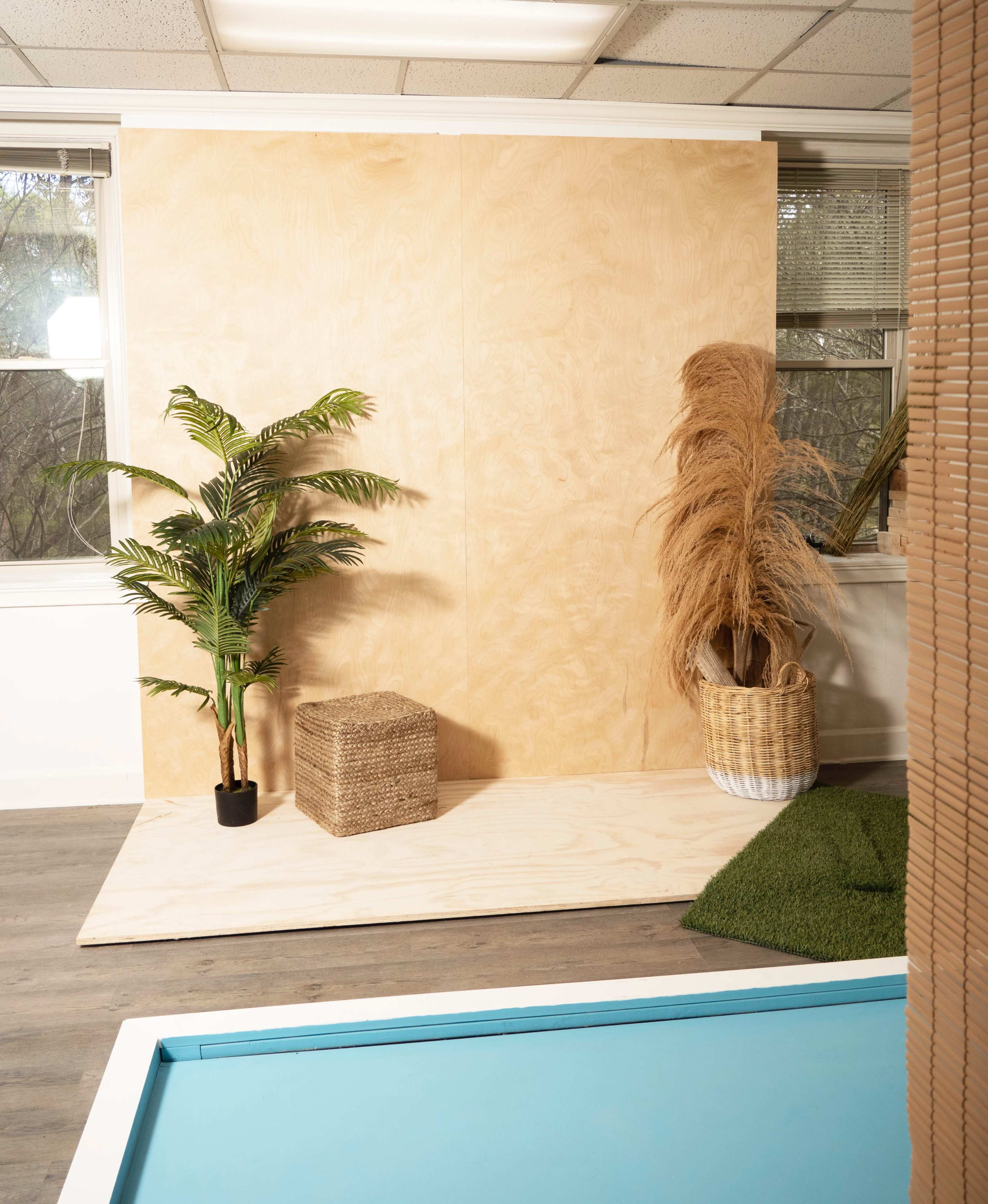 The image shows a simple indoor setup featuring a plywood backdrop, a decorative plant, a woven storage box, and a rug, alongside a blue pool visible in the foreground.