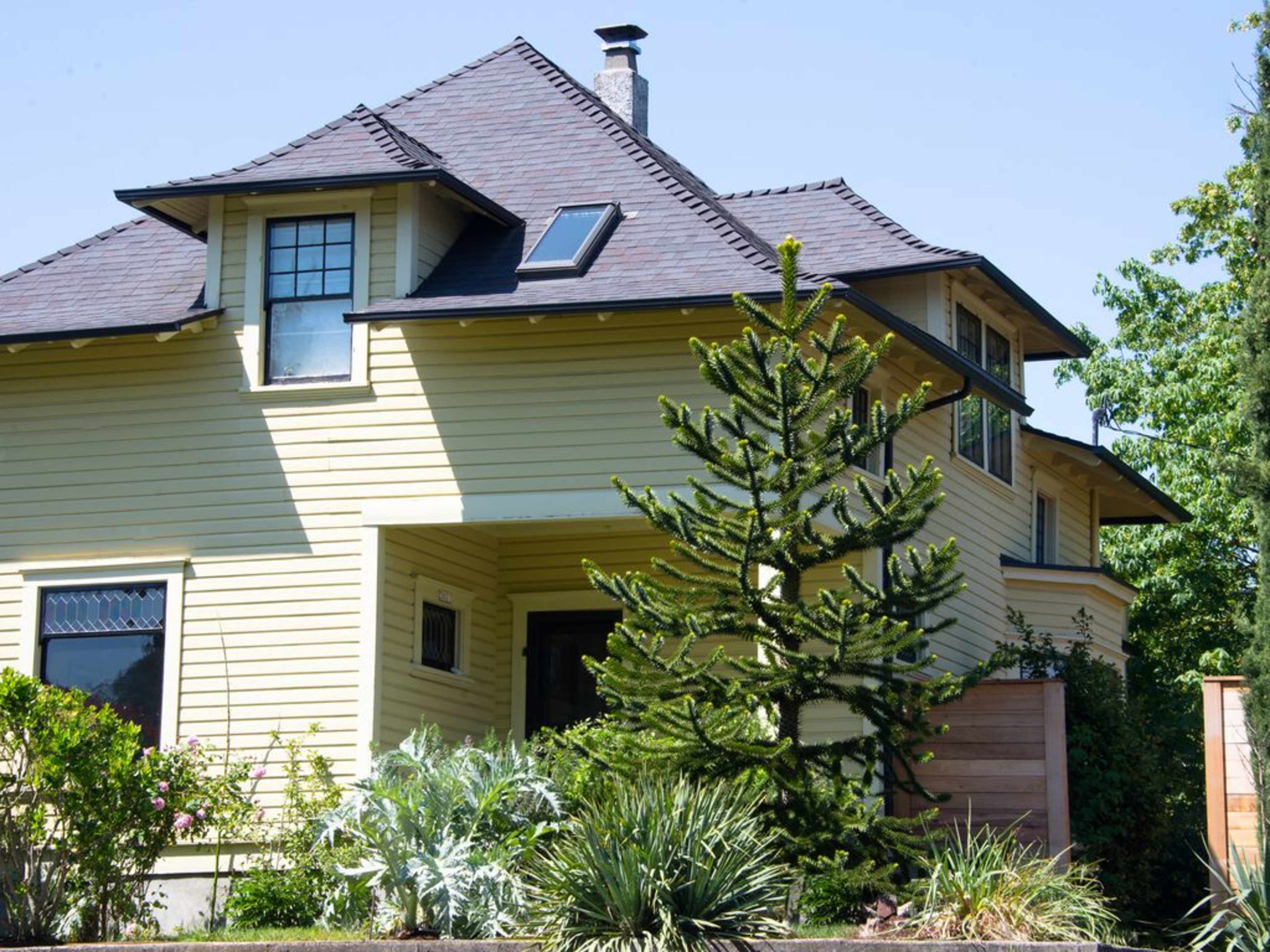 A yellow house with a steep roof and a prominent chimney is surrounded by various plants, including a tall tree in the foreground.