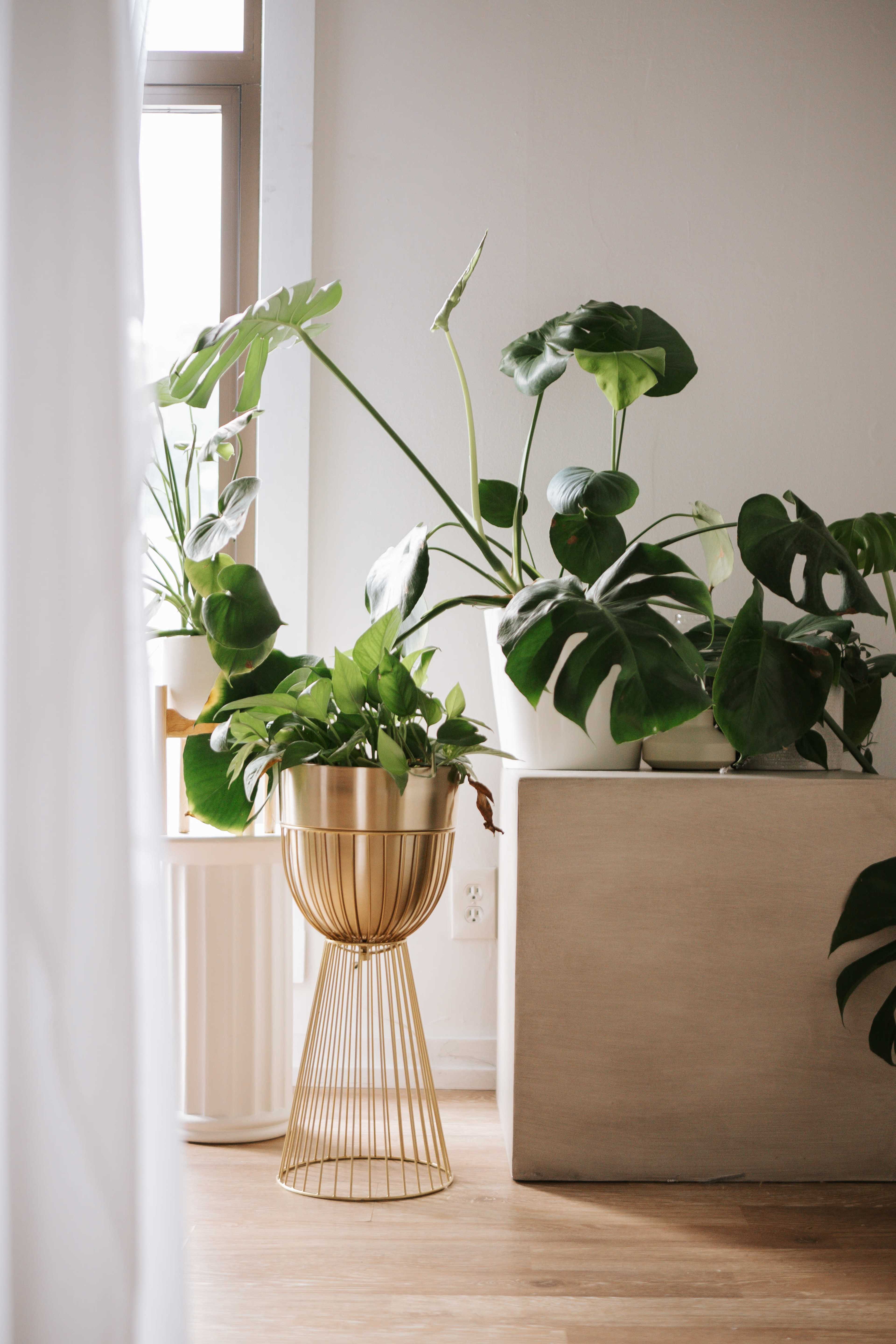 Downtown Natural Light Photo Studio, Boudoir Friendly 🪽✨ Image in Harrison, Minneapolis, MN