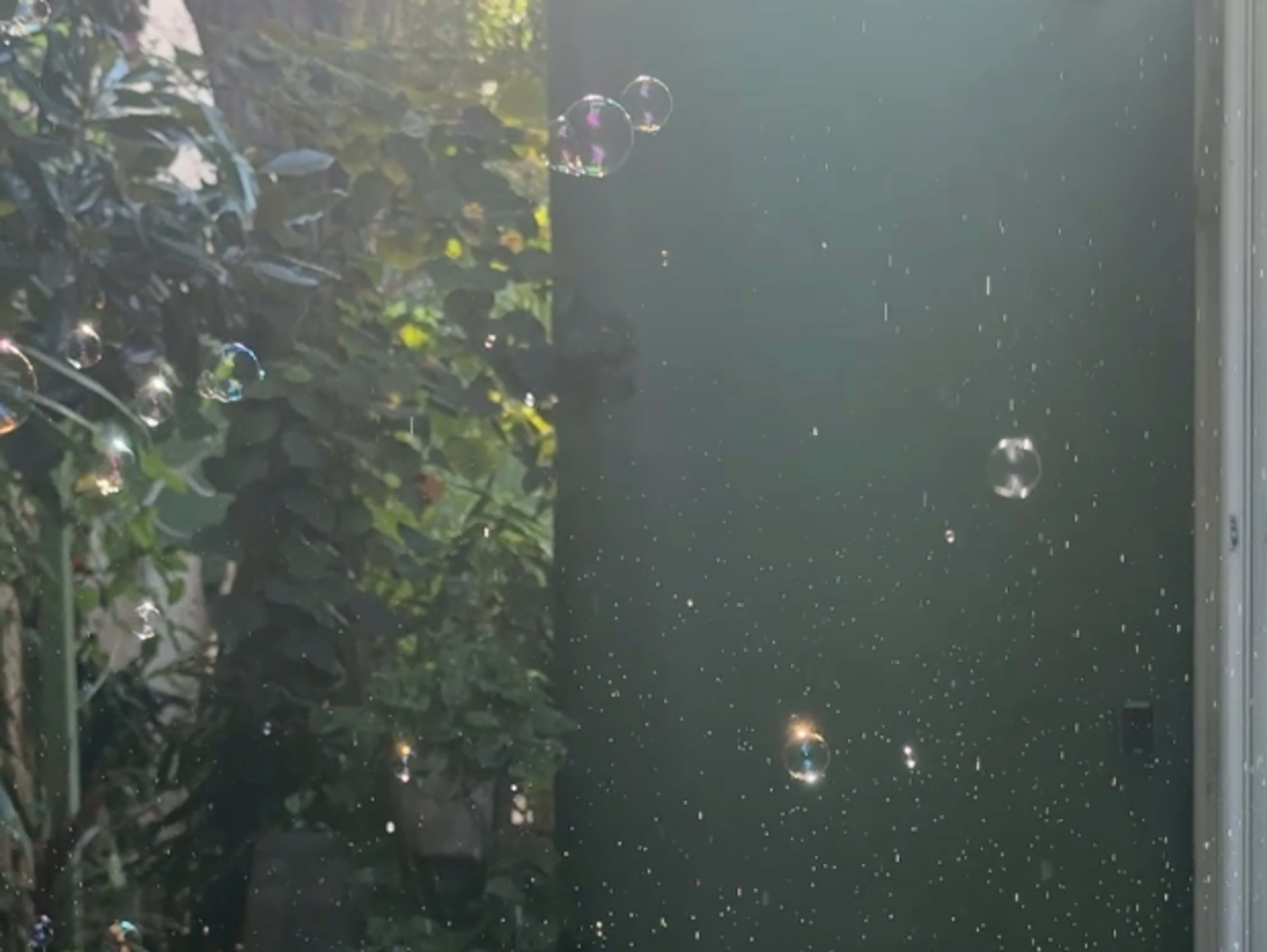 Bubbles