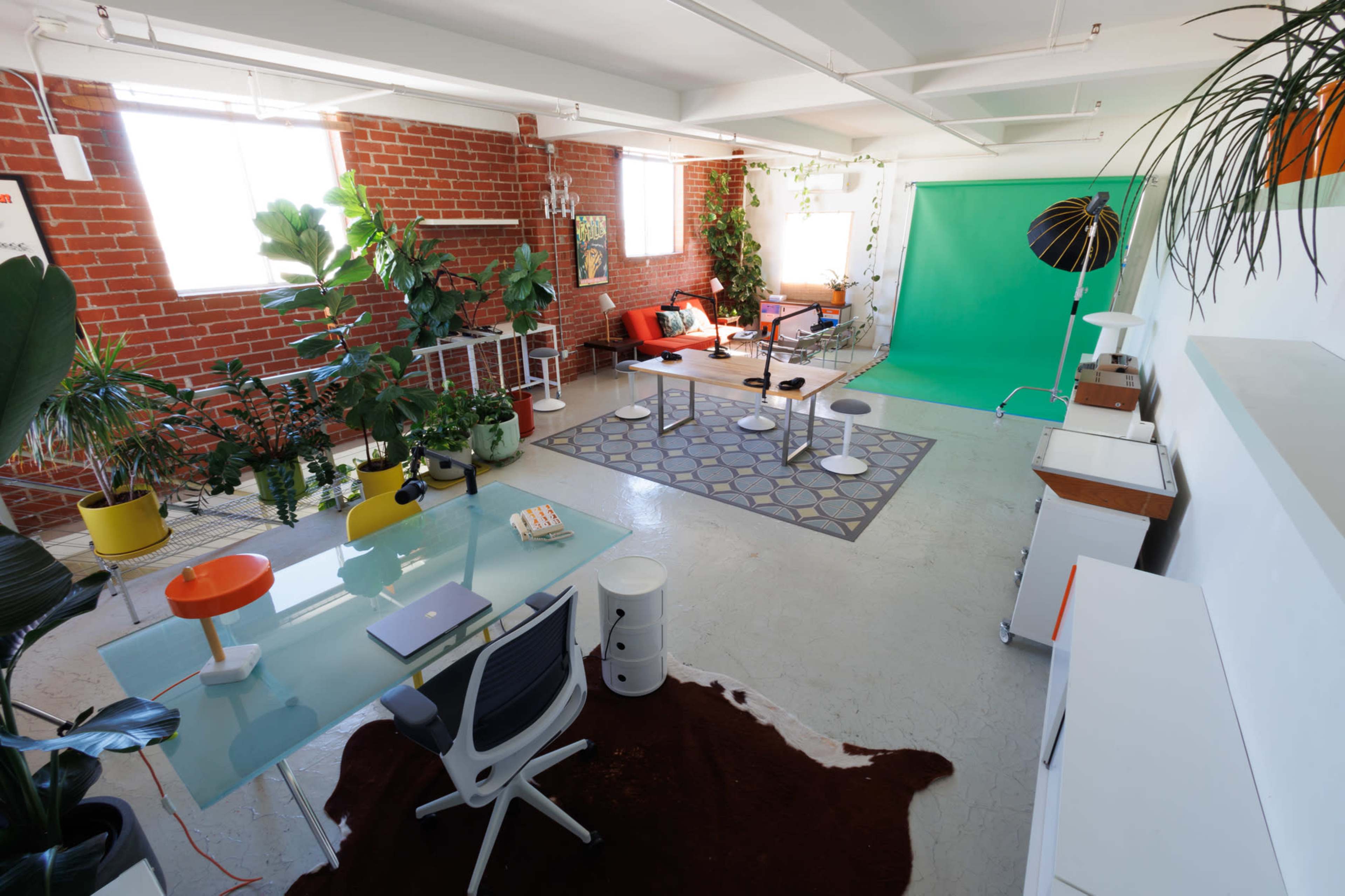 The image shows a bright and open workspace with green walls, large windows, various plants, and a green screen area for video production.