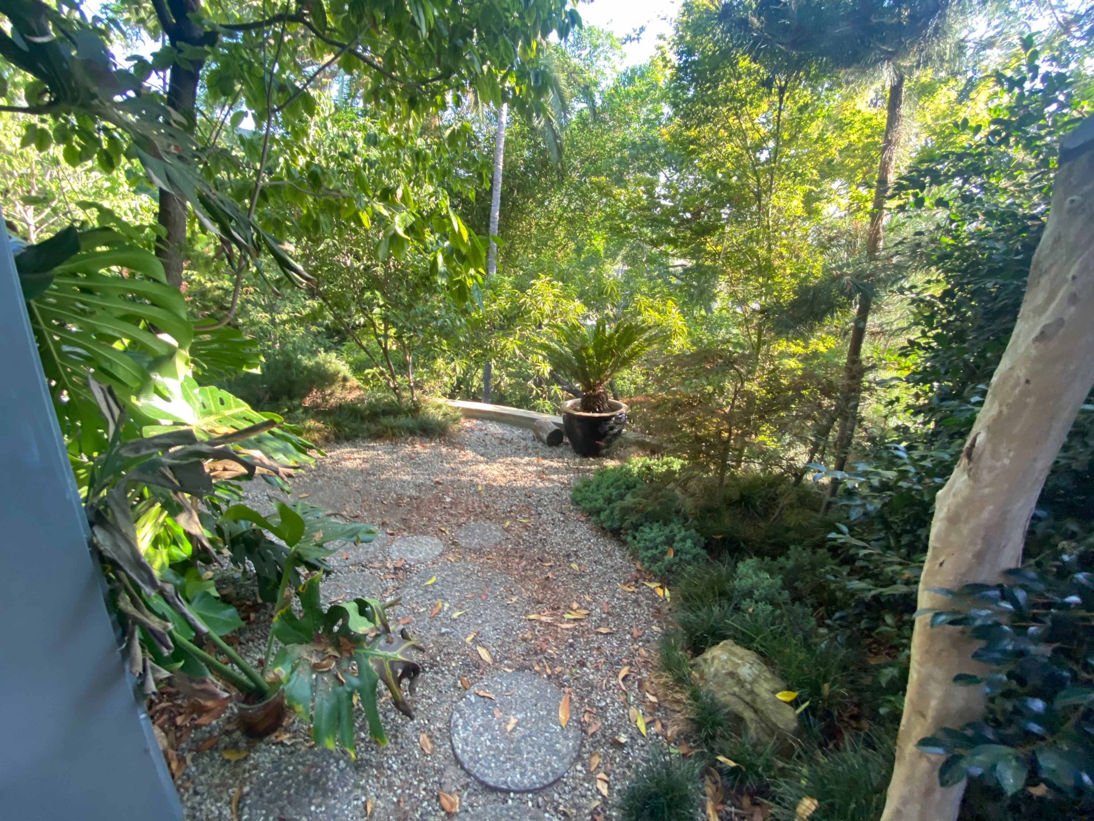 A winding stone pathway leads through a lush garden filled with various plants and trees.