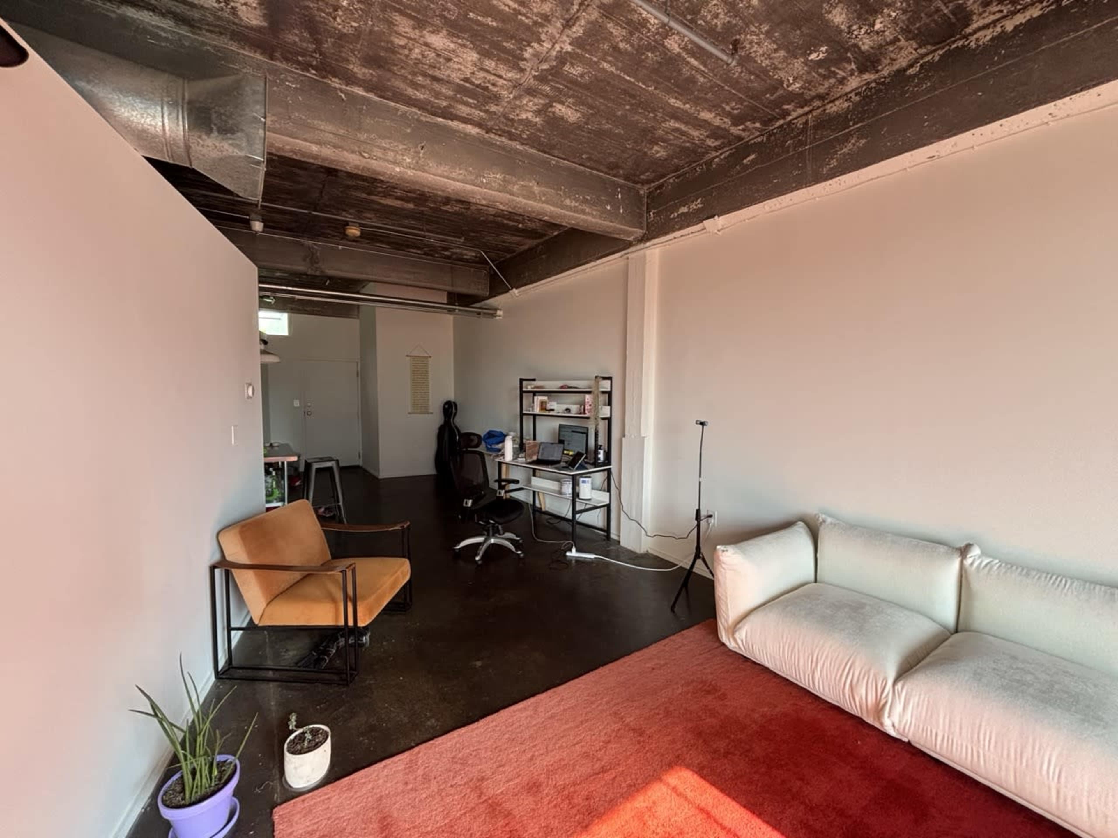 The image shows a minimalist office space featuring a desk with a computer, a chair, a couch, and a potted plant on a colorful rug.