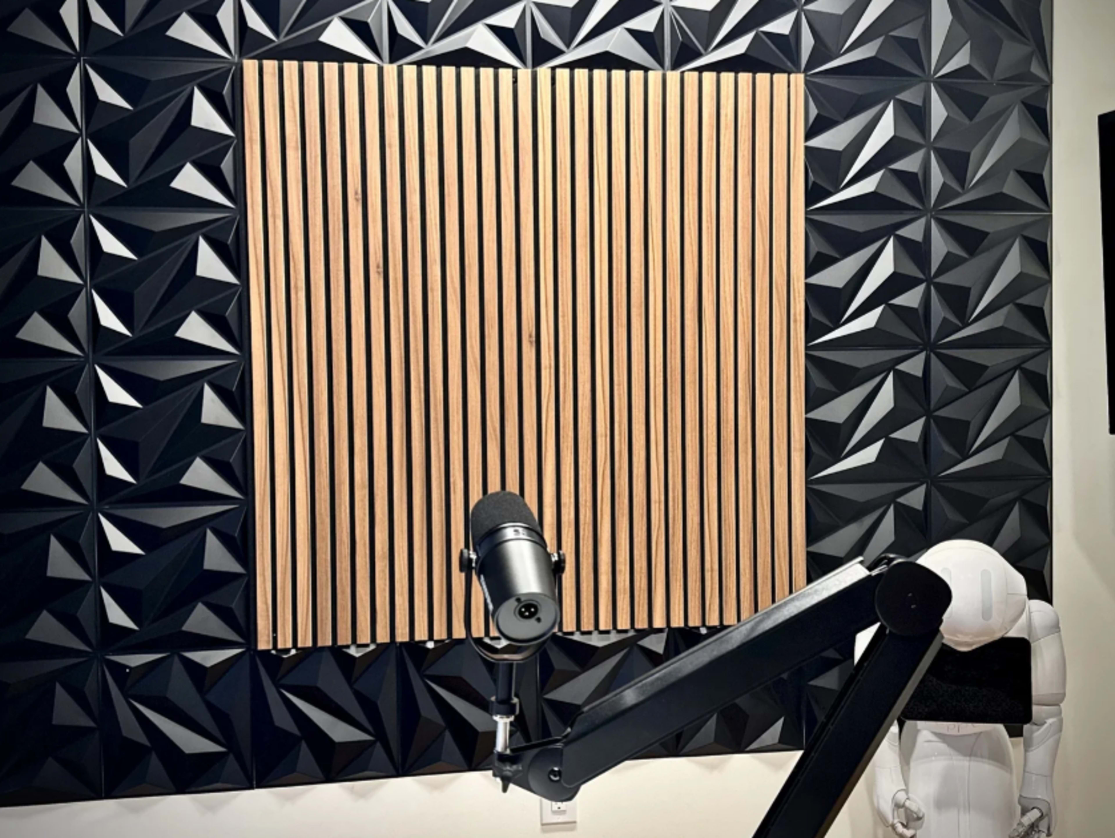 The image shows a soundproofing wall with vertical wooden slats above a textured black panel, along with a microphone on an adjustable arm in the foreground.