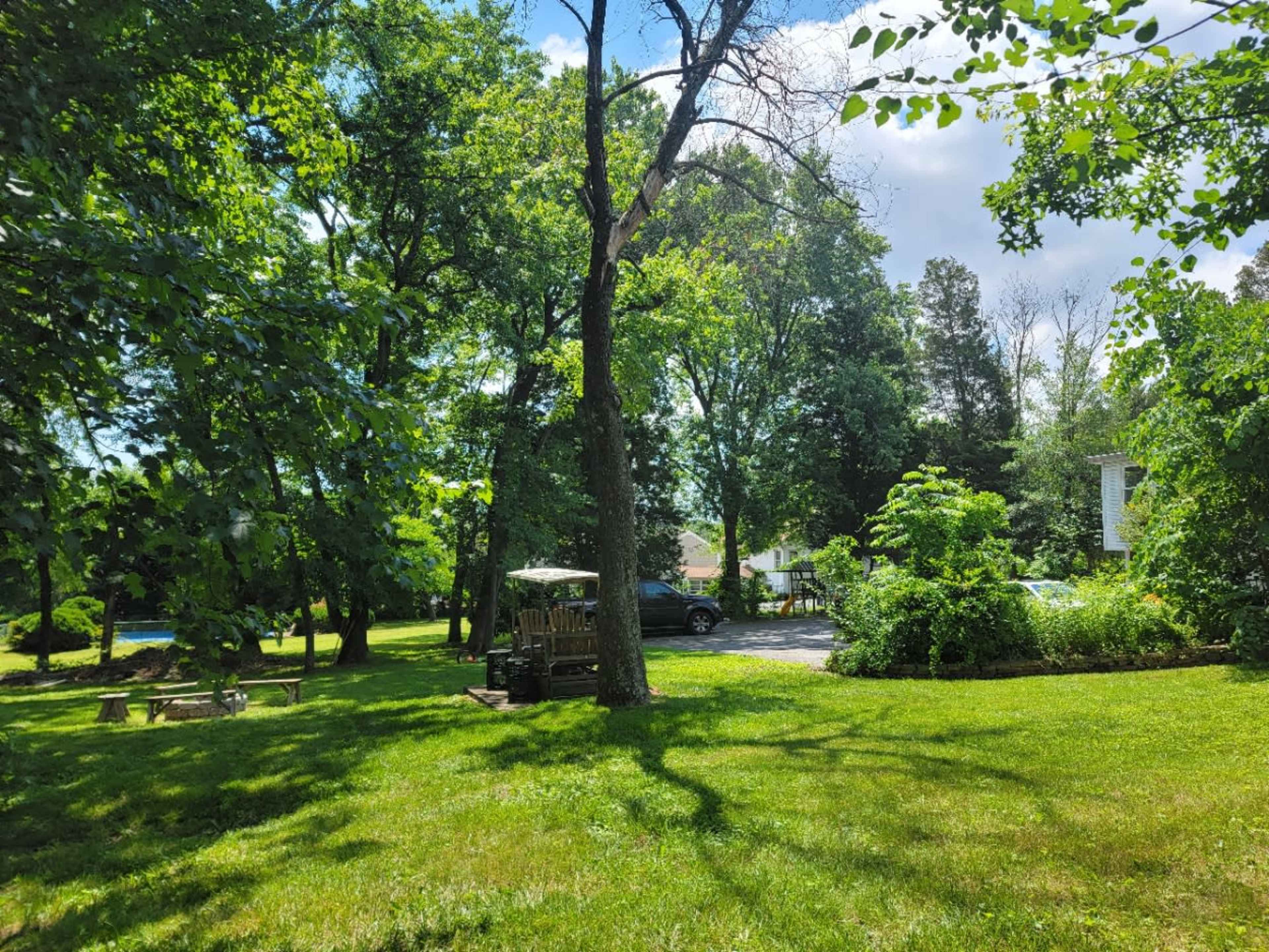 A grassy area is surrounded by trees, with a parked car and a small wooden structure in the background.