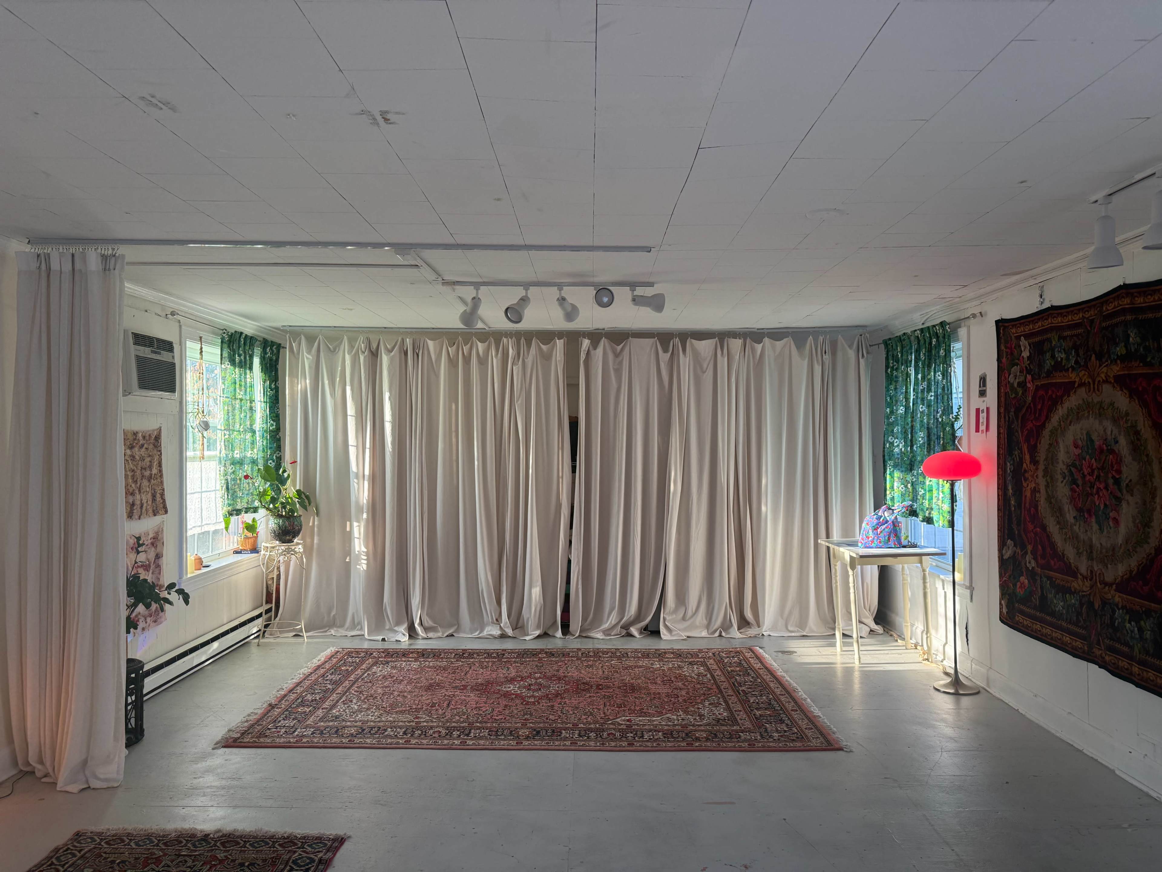 The room features white walls, a large area rug in the center, and long curtains on either side, with a plant and a lamp on a table in one corner.