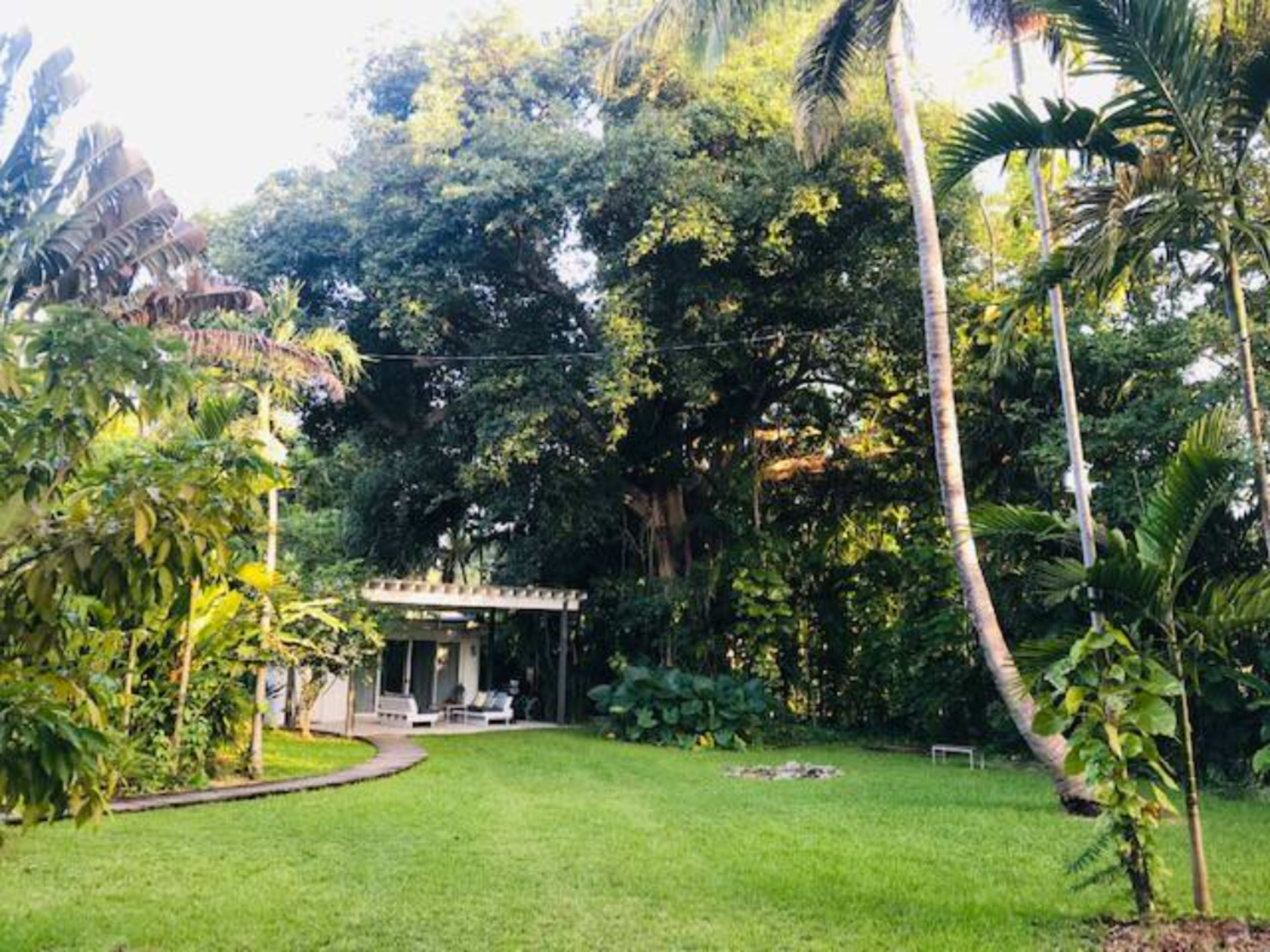 A lush green garden with a small patio and tall trees surrounding a grassy area.