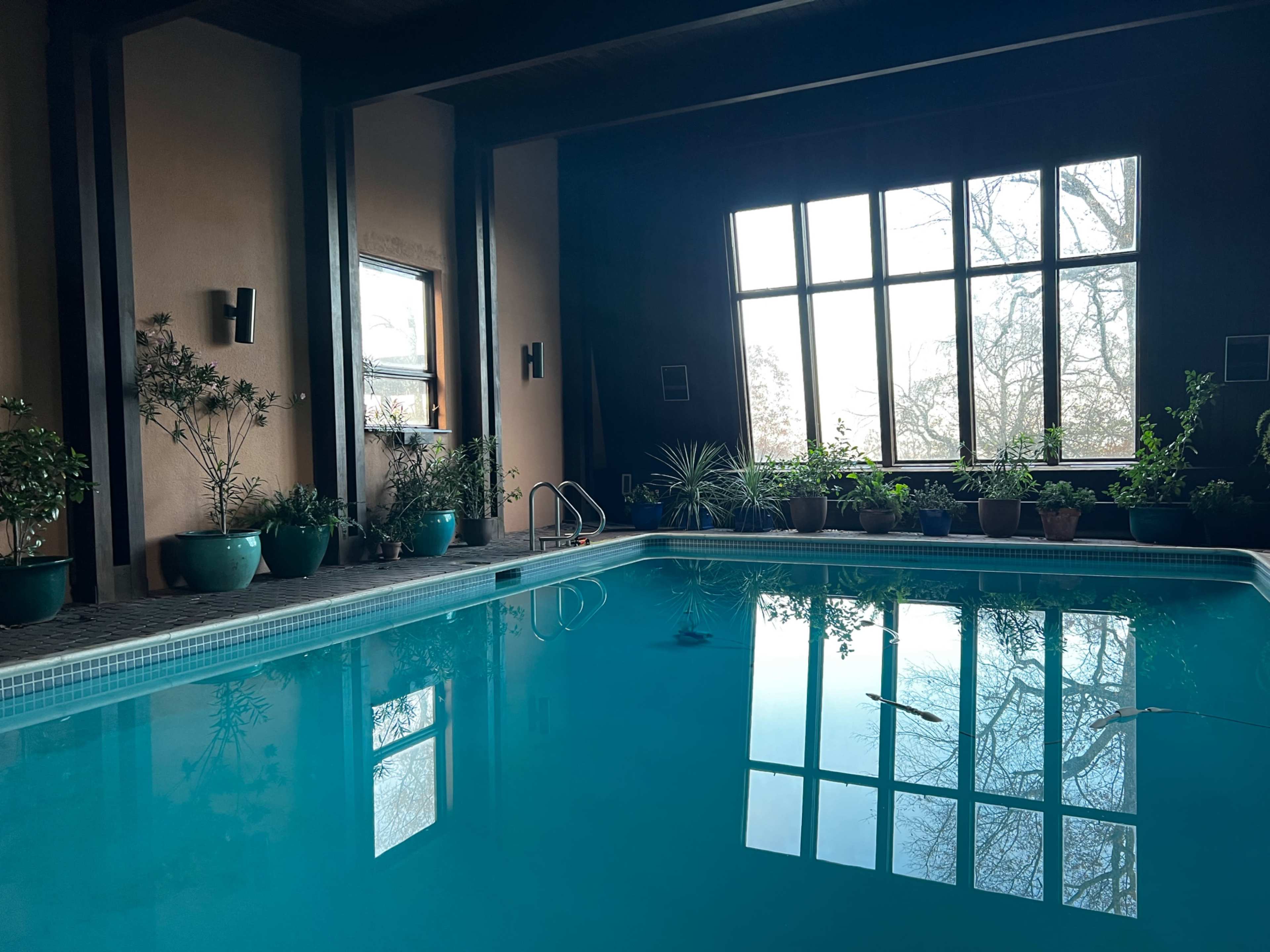 The image shows an indoor swimming pool surrounded by potted plants and large windows that let in natural light.