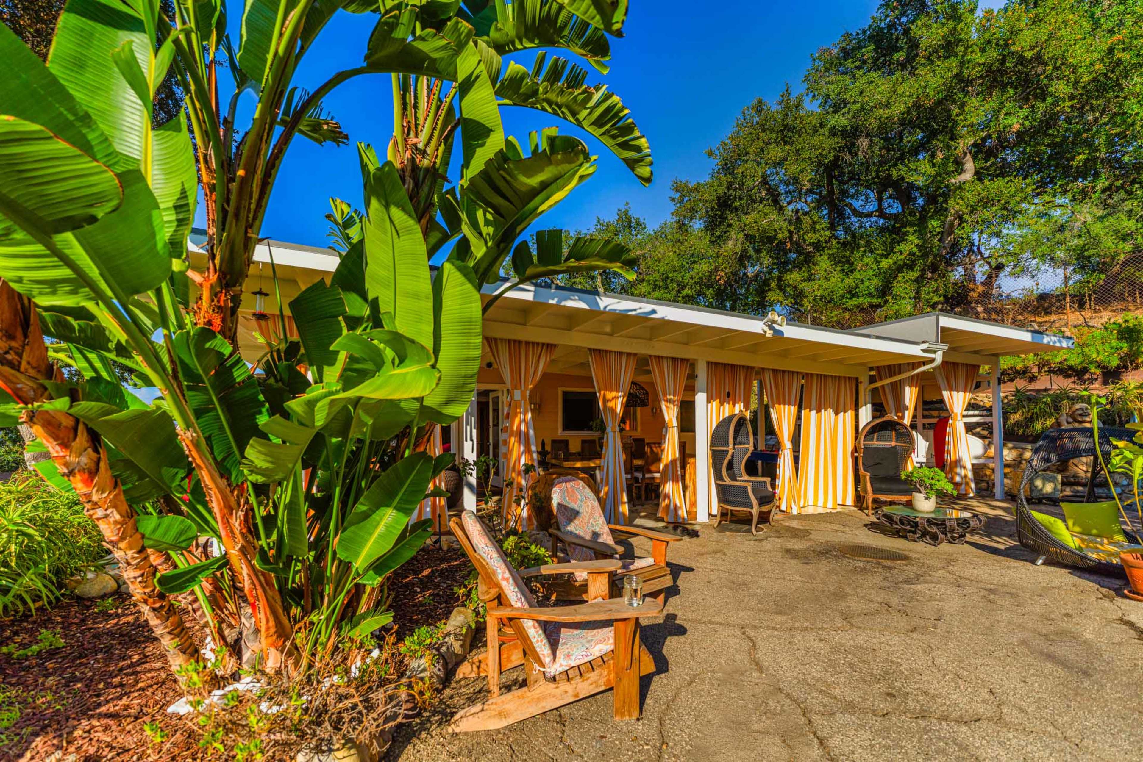 A tropical-style outdoor seating area is surrounded by lush green plants and features a small, modern building in the background.