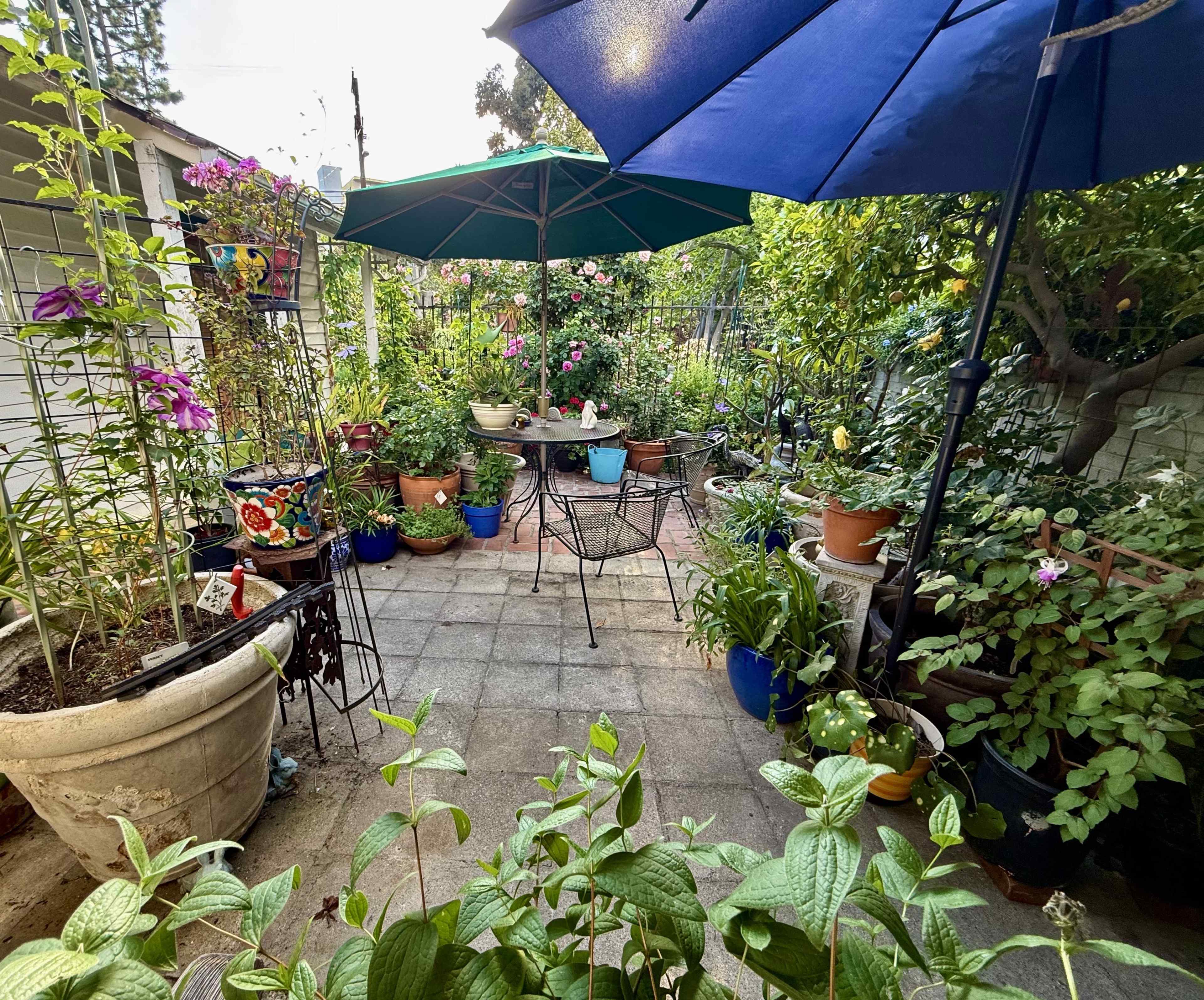 Expansive garden and outdoor space with covered driveway. In the heart of the Hollywood foothills, walking distance from the Hollywood Bowl and Hollywood Reservoir. Flowing walkways with many delightful nooks. The space includes a wardrobe and makeup room, with shower and full bathroom. Kitchen available upon request. Sound system available upon request. Aerial drone photography and video available upon request. Image in Central LA, Los Angeles, CA