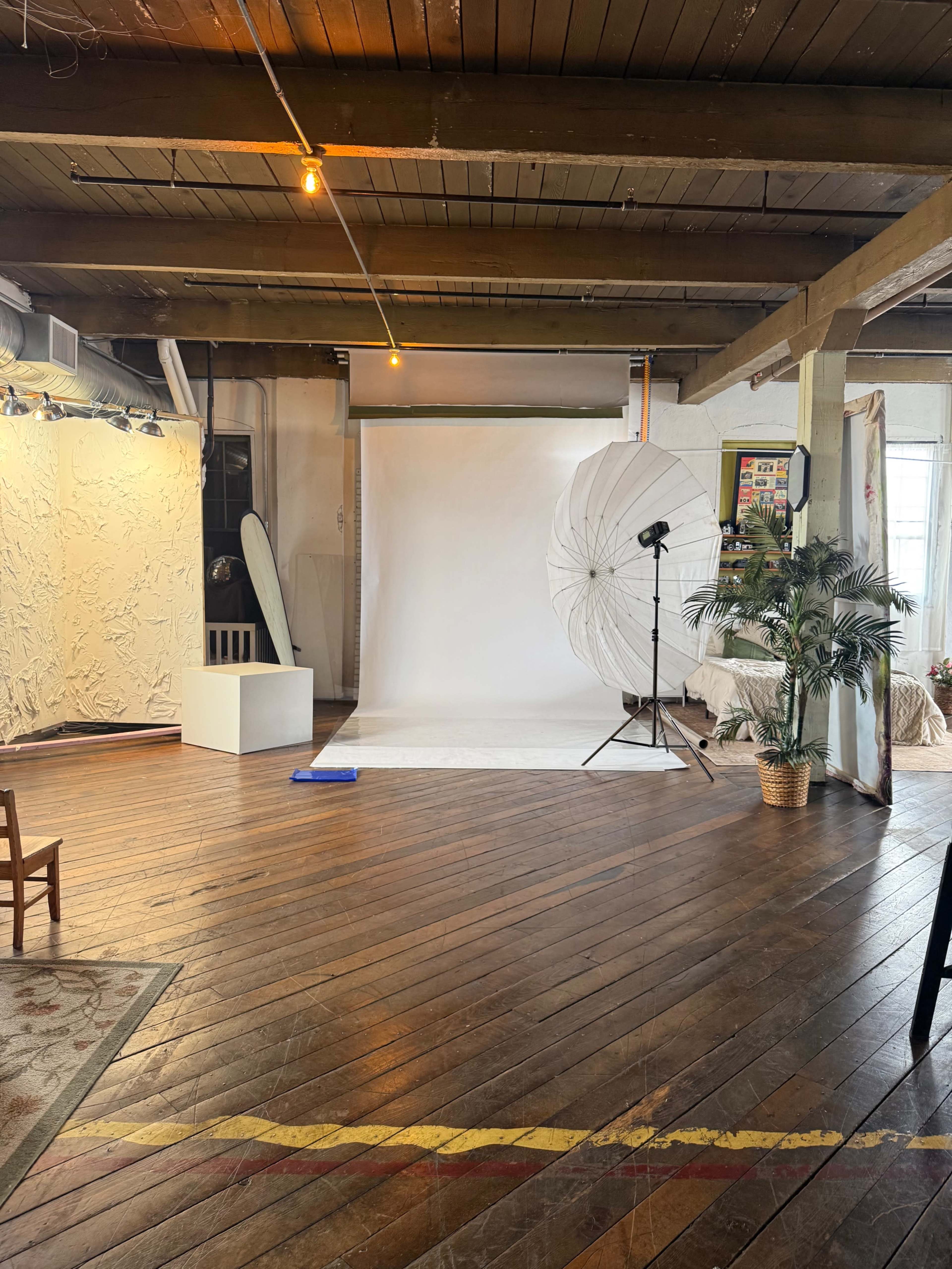 The image shows an empty studio space with wooden floors, a backdrop, lighting equipment, and a few decorative plants.