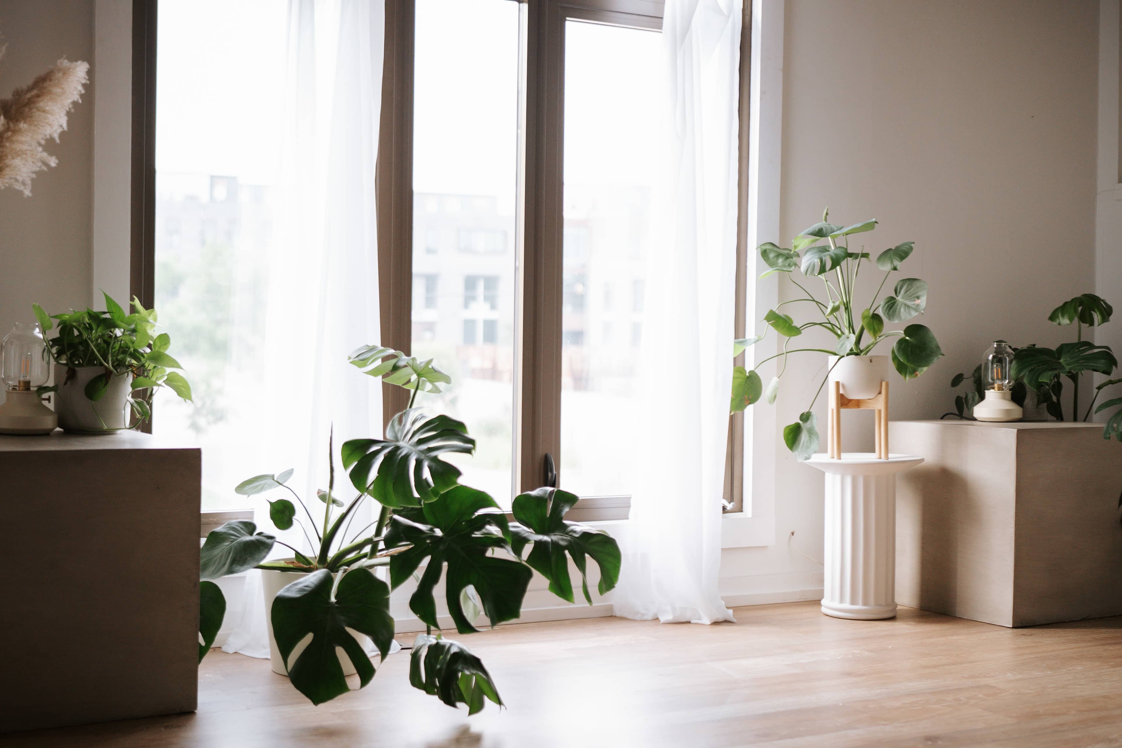 Downtown Natural Light Photo Studio, Boudoir Friendly 🪽✨ Image in Harrison, Minneapolis, MN