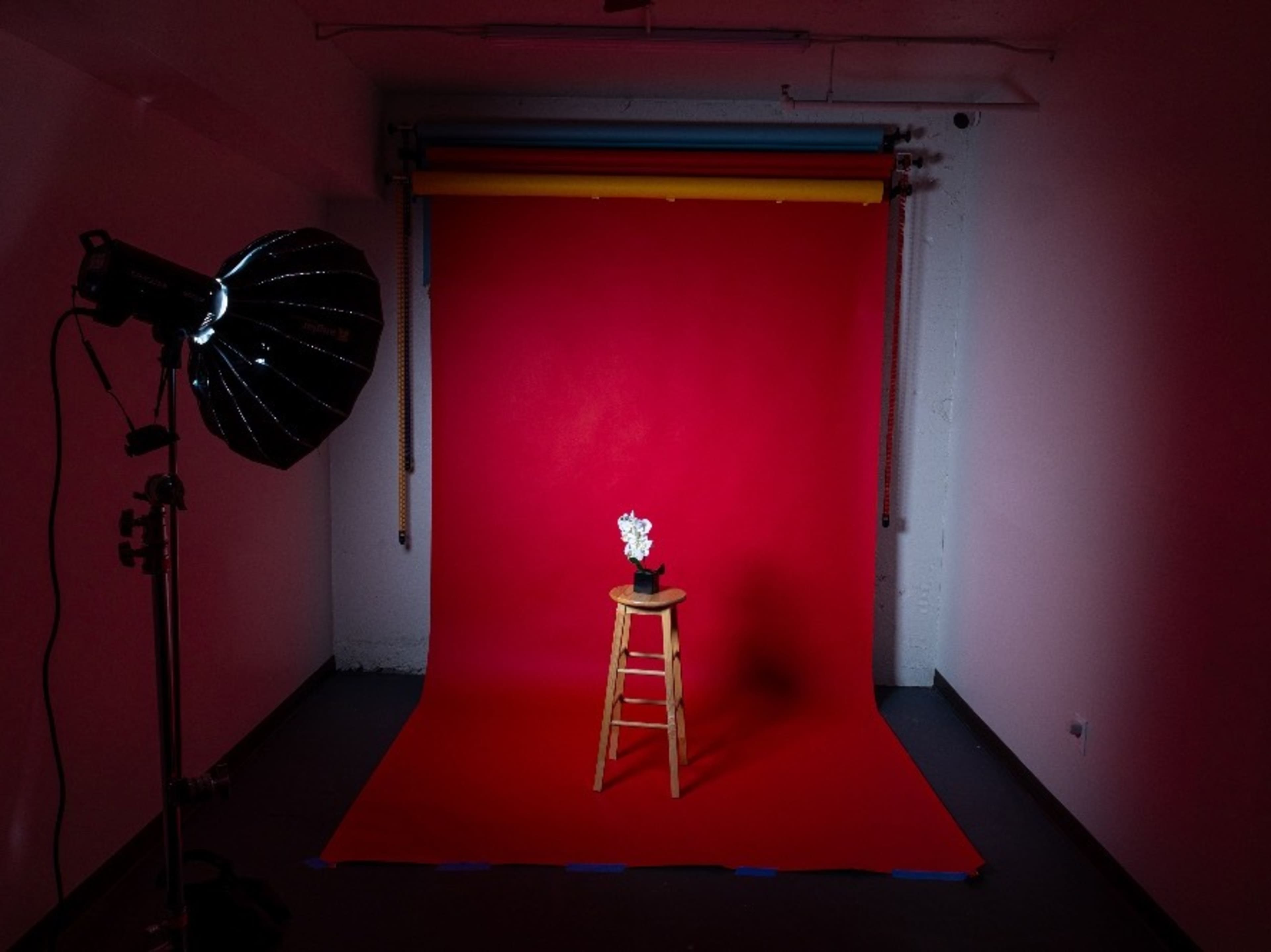 Colored Backdrop (1 Color)