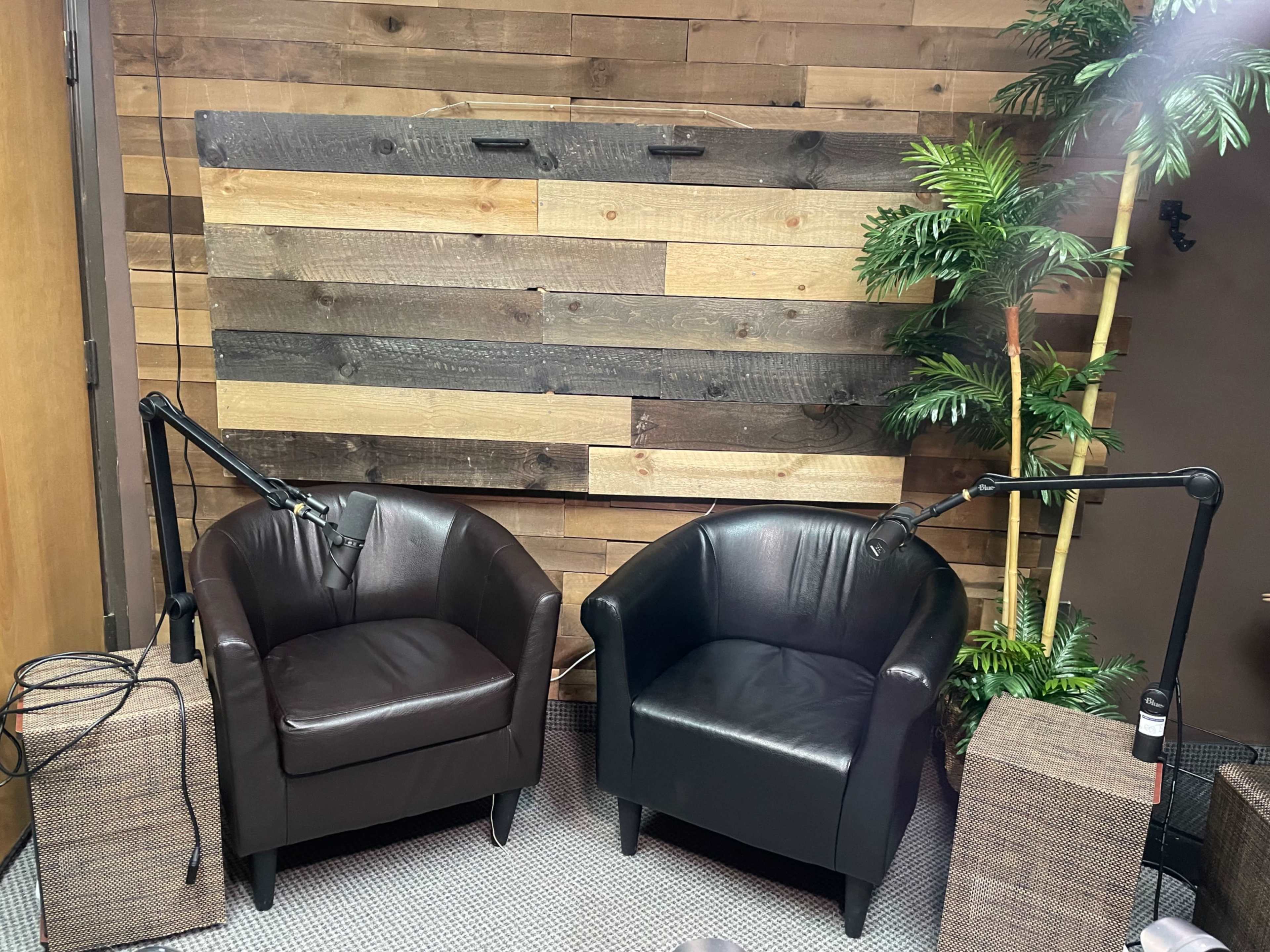Two brown leather chairs facing each other in a room with wooden walls and some greenery.