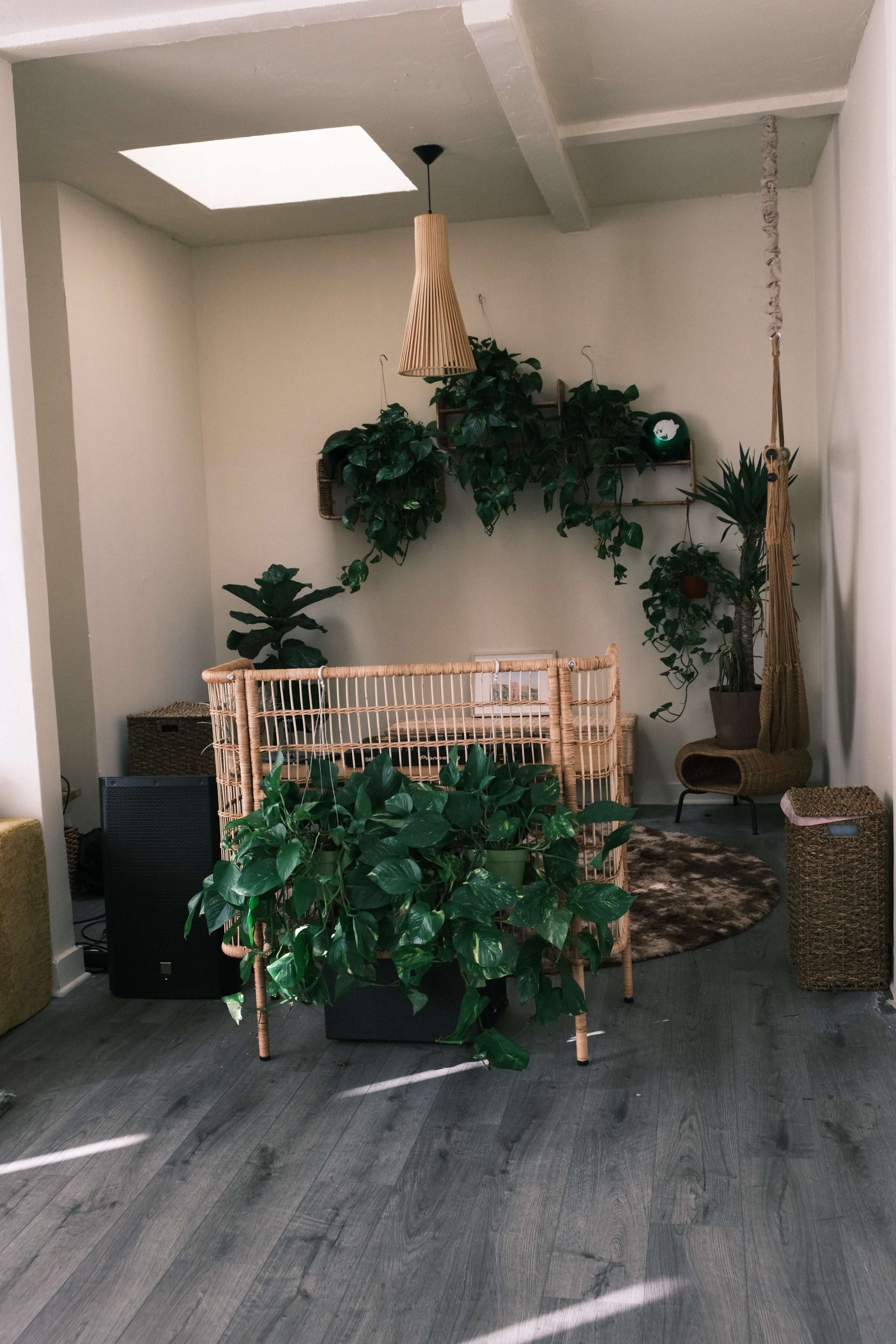 The image shows a cozy indoor space featuring a rattan seating area surrounded by various green plants, with a skylight above and a comfortable hanging chair in the corner.