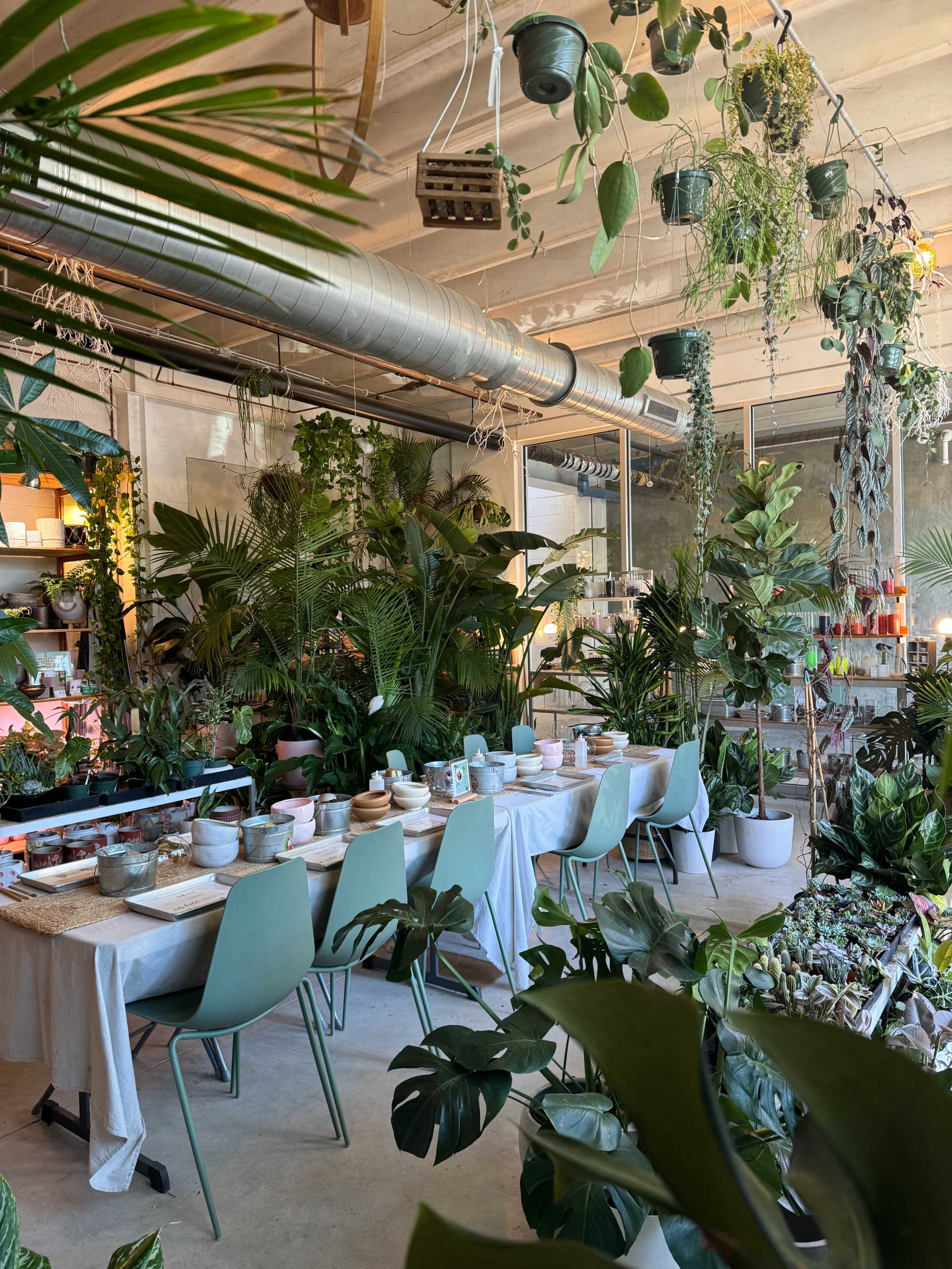 Bright East Austin Plant Studio Image in Govalle, Austin, TX