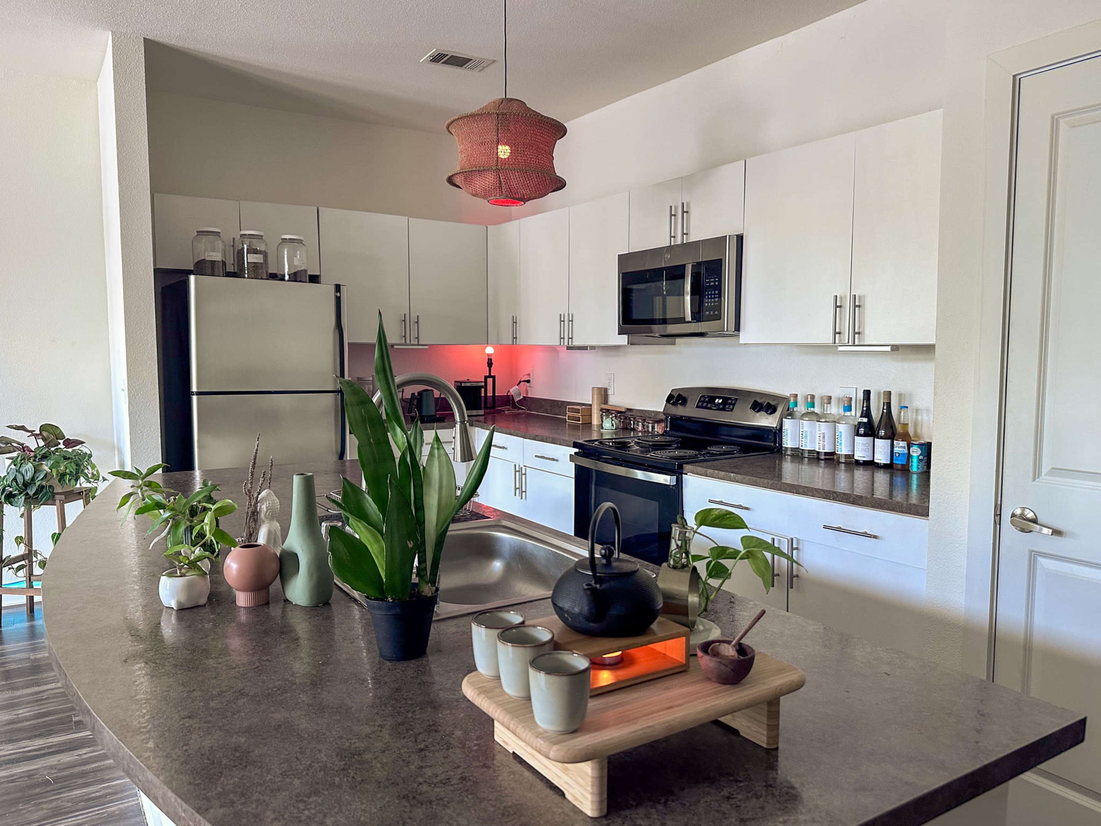 The image shows a modern kitchen with white cabinets, stainless steel appliances, and a counter displaying various plants and a decorative tray.