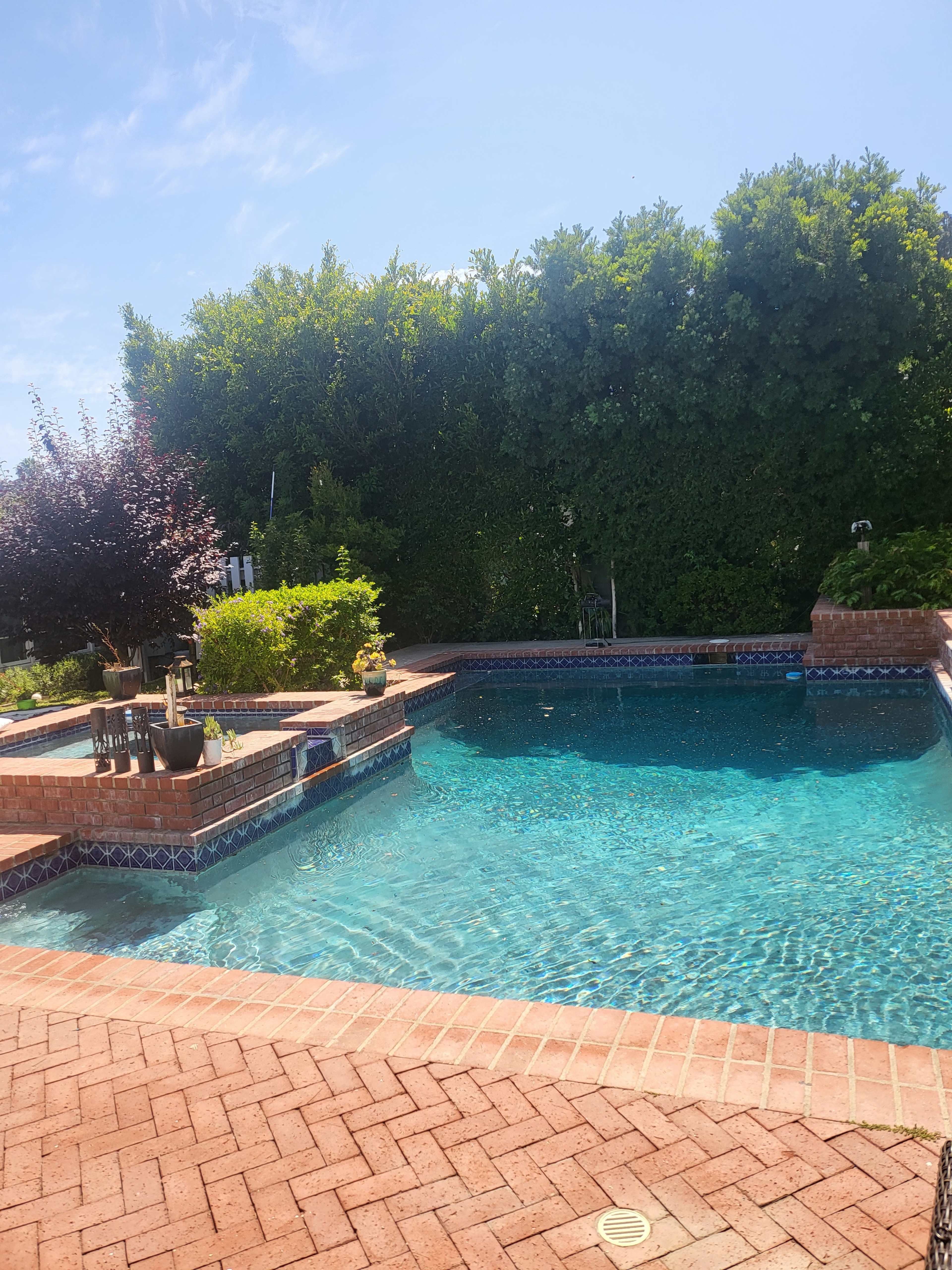 The image shows a rectangular swimming pool surrounded by brick paving and lush greenery.