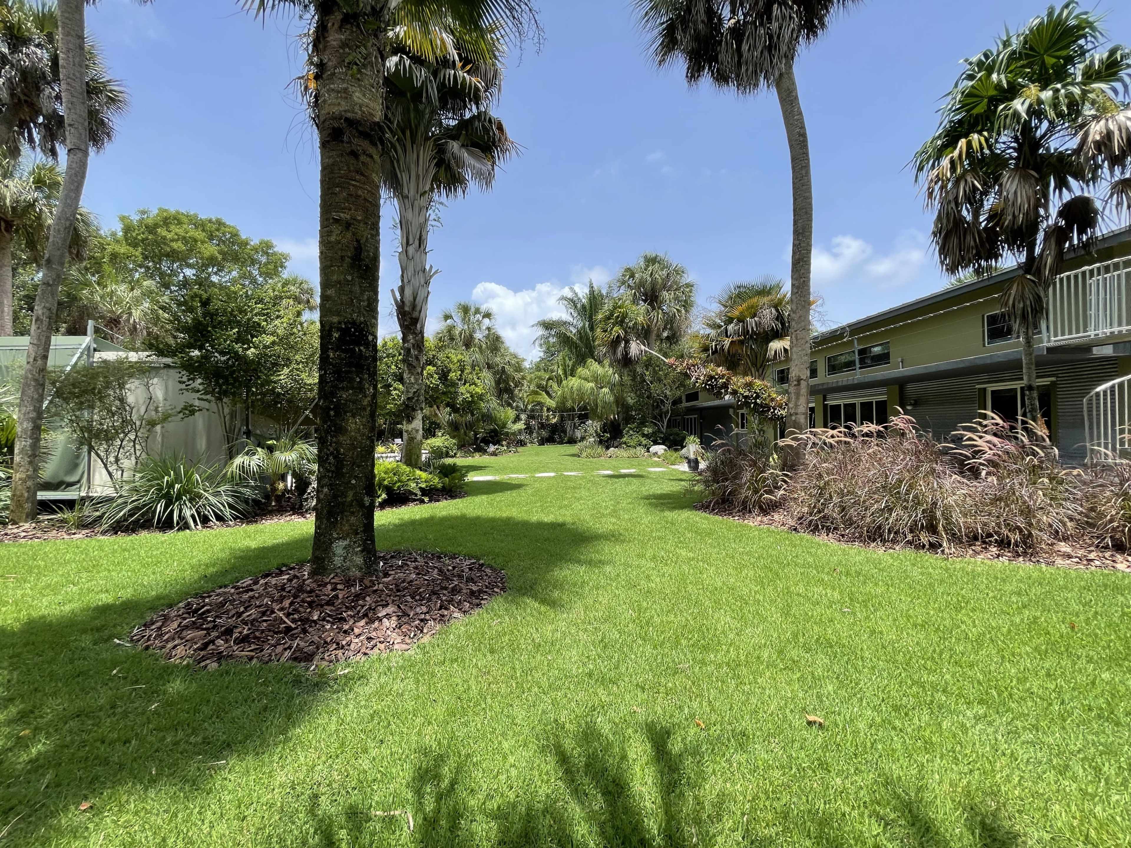 The image shows a landscaped garden with palm trees, green grass, and a pathway leading to tropical shrubs and plants.