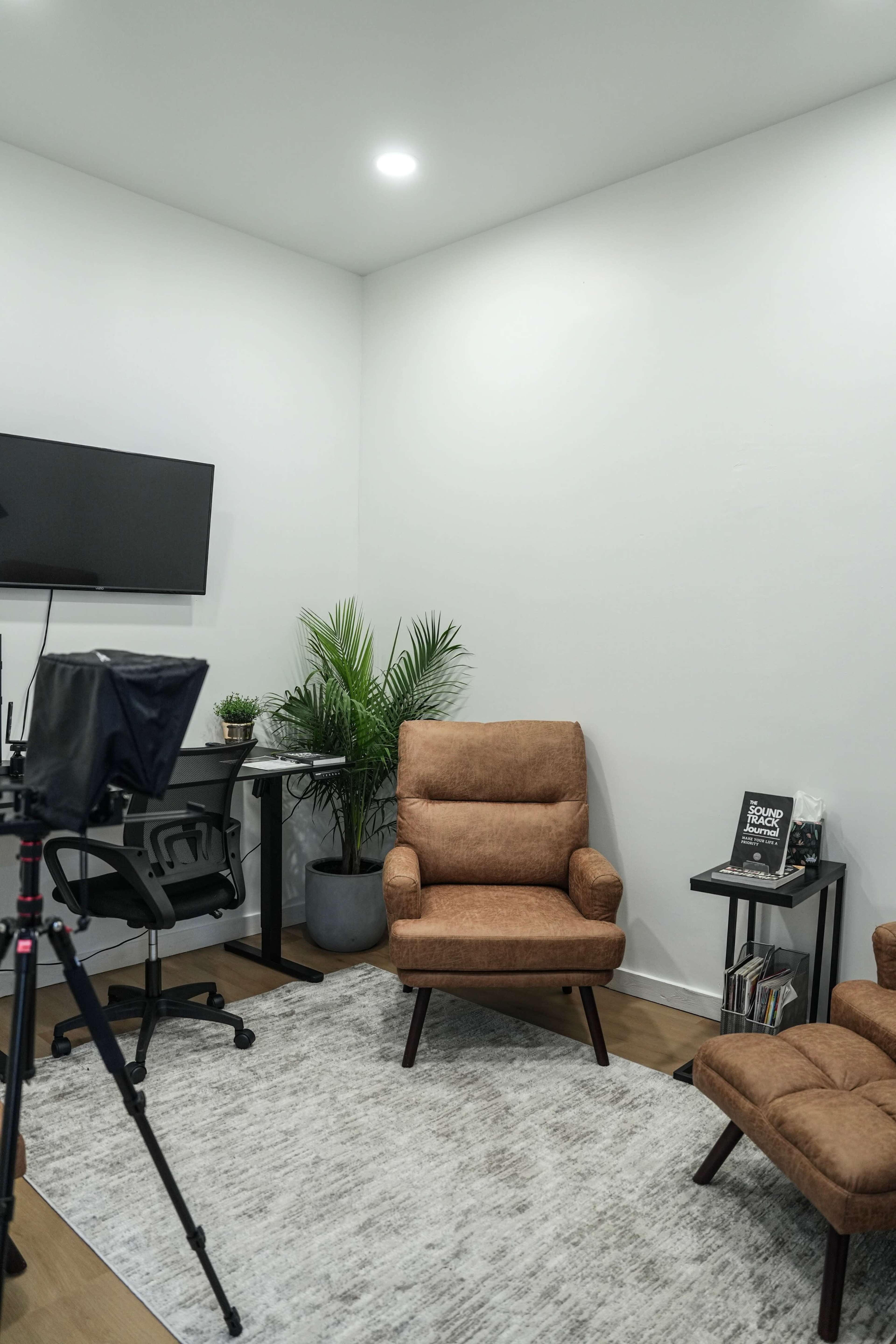 A modern office space features a brown armchair and a matching recliner, a desk with a chair, a potted plant, and a television mounted on the wall.
