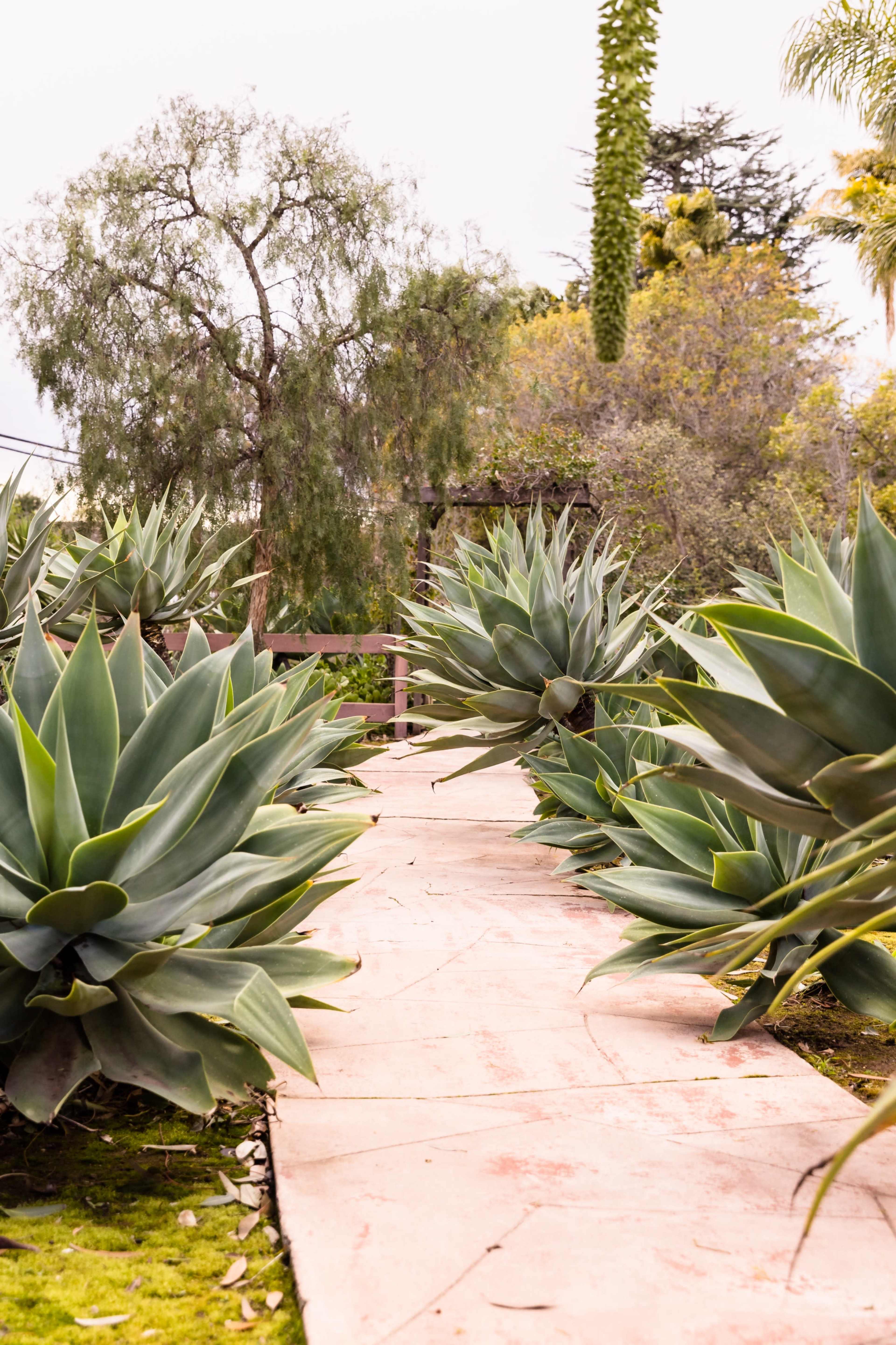 Natural Light California Hilltop Adobe Ranch House Image in Vista, Vista, CA