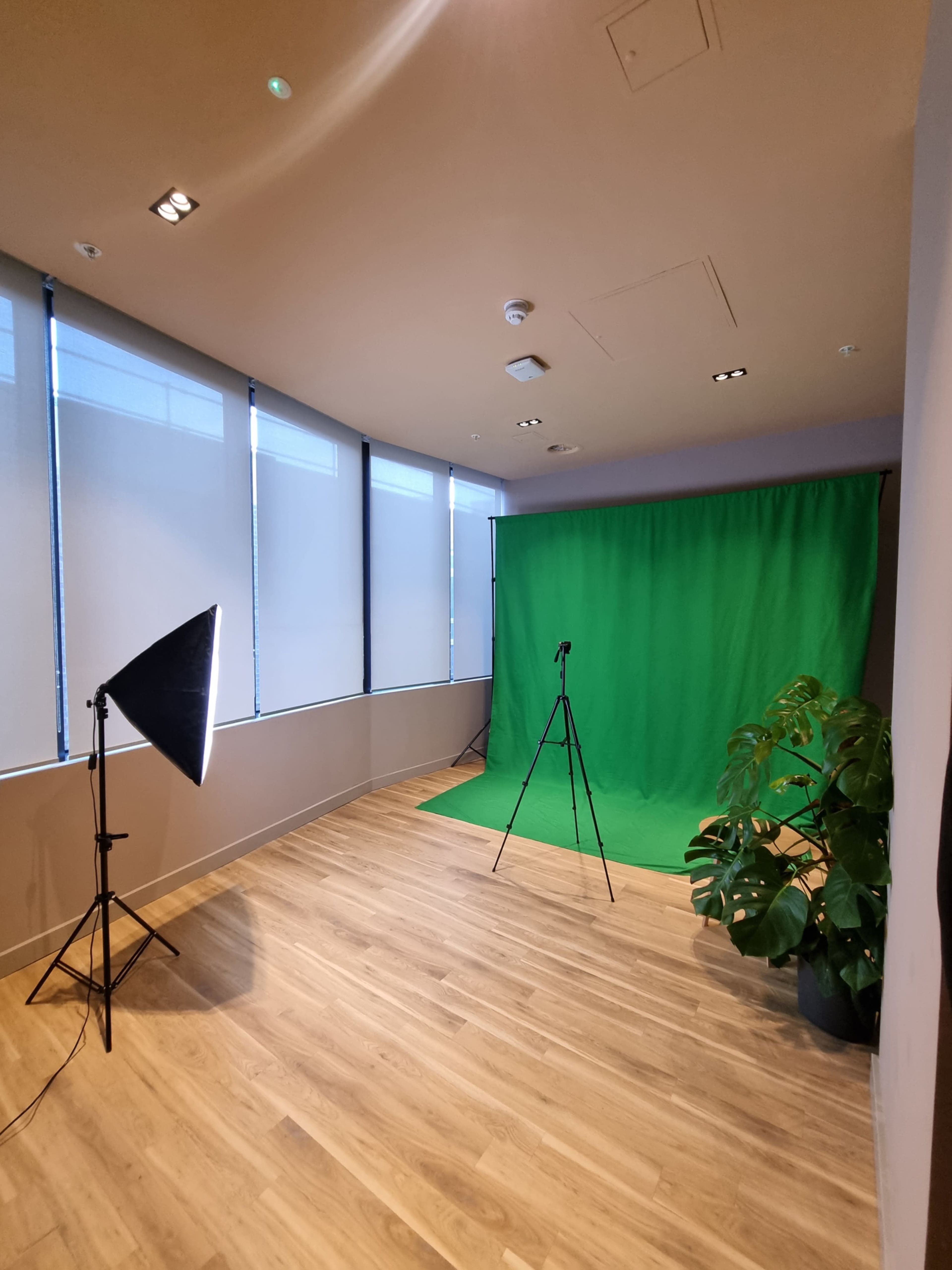 A studio with a green backdrop, a light source on a stand, a tripod, and large windows covered with blinds.