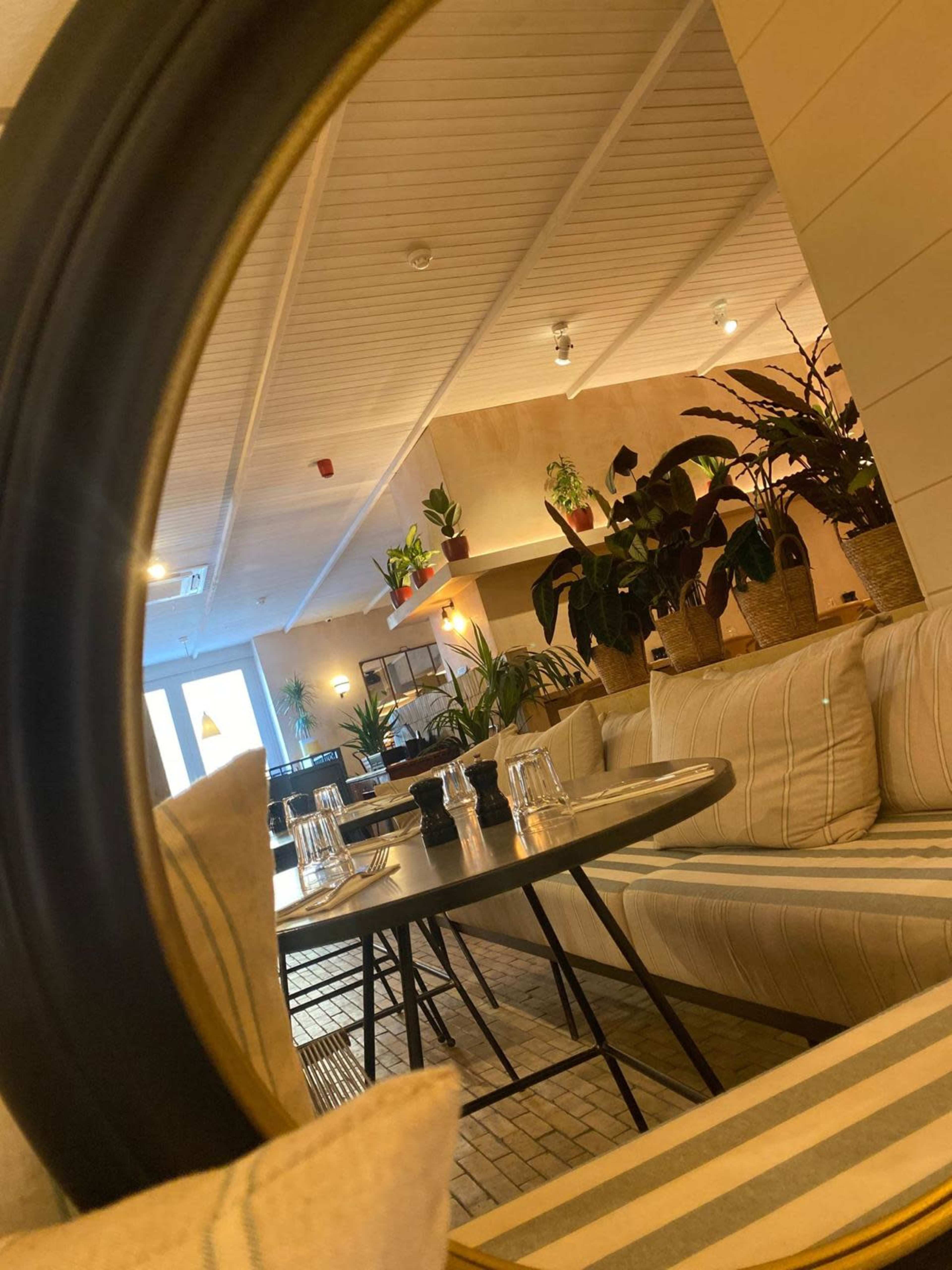 A dining area with a round mirror reflecting a table set with glasses and surrounded by indoor plants.