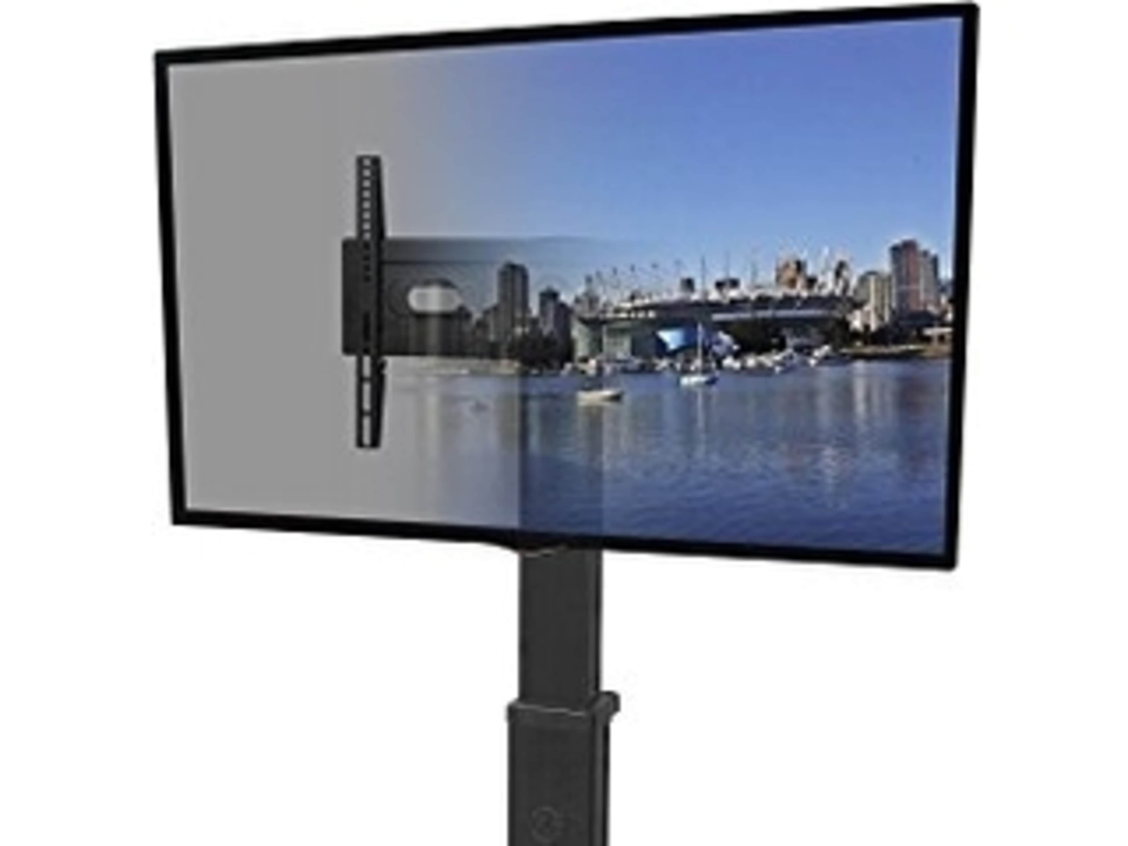 55" Monitor on Rolling Stand