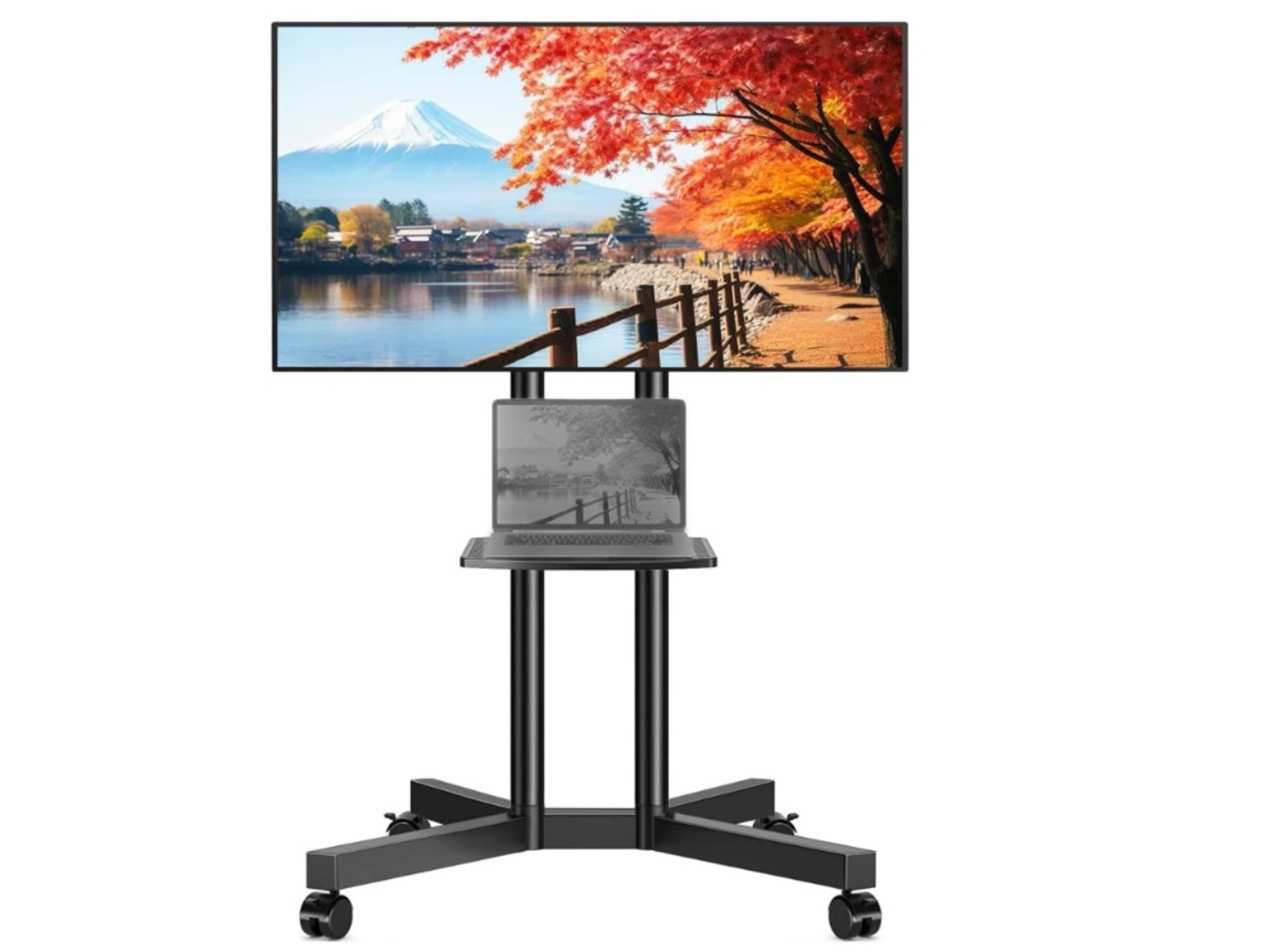 55" 4K TV on Rolling stand 