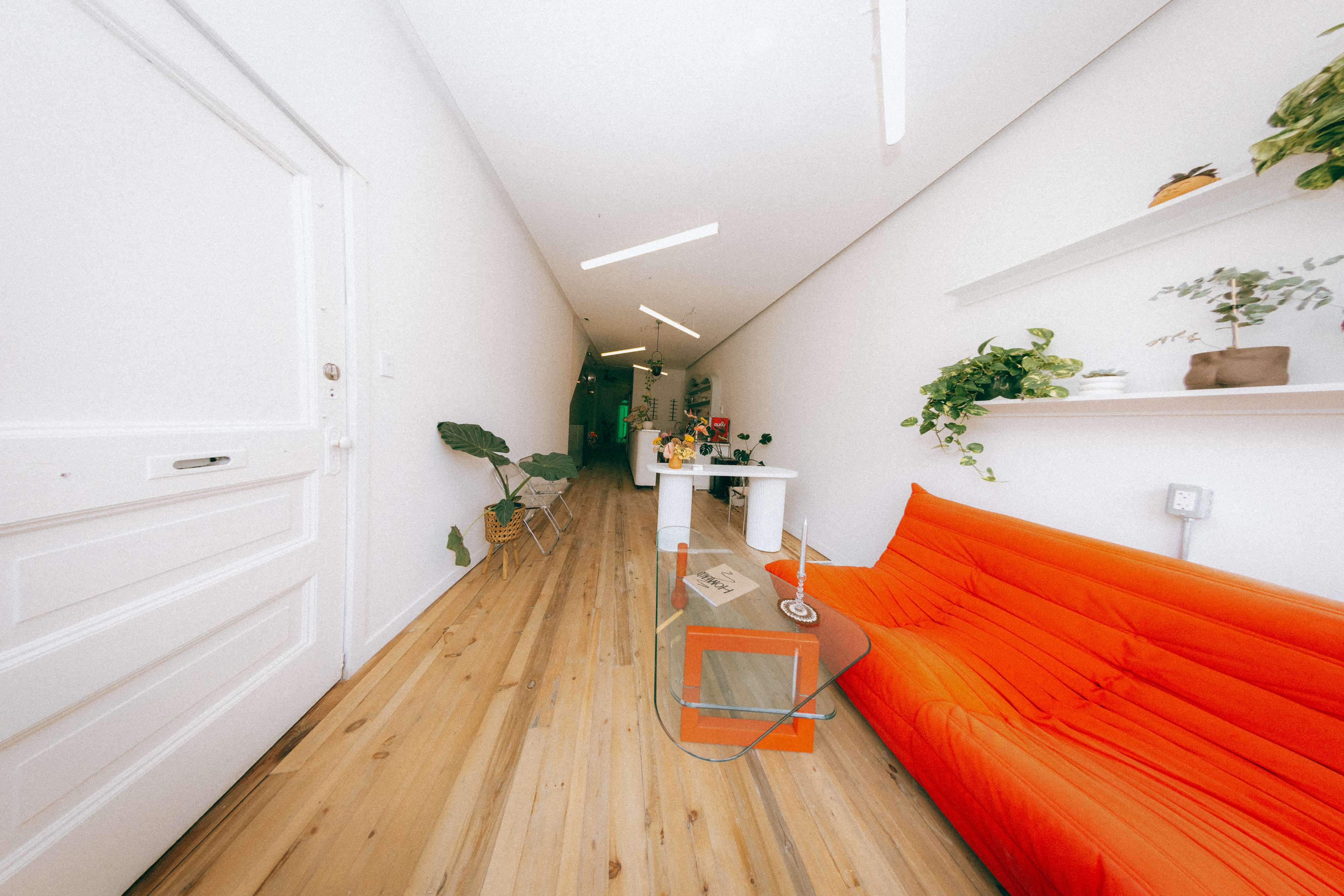 A narrow hallway with white walls, wooden flooring, an orange sofa on one side, and plants along the wall and shelves.