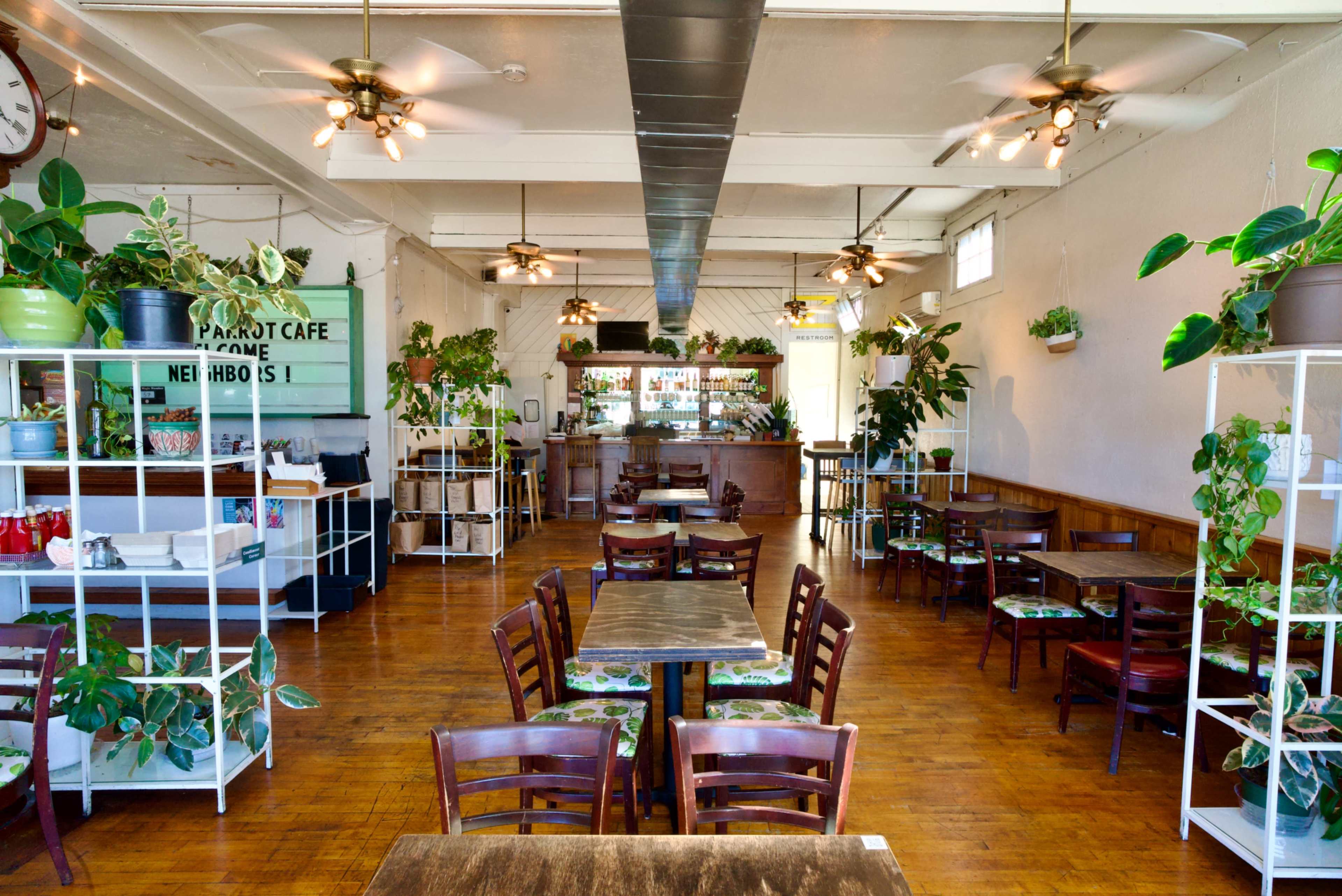 The image shows a spacious café interior with wooden tables and chairs, greenery throughout, and a counter at the back.