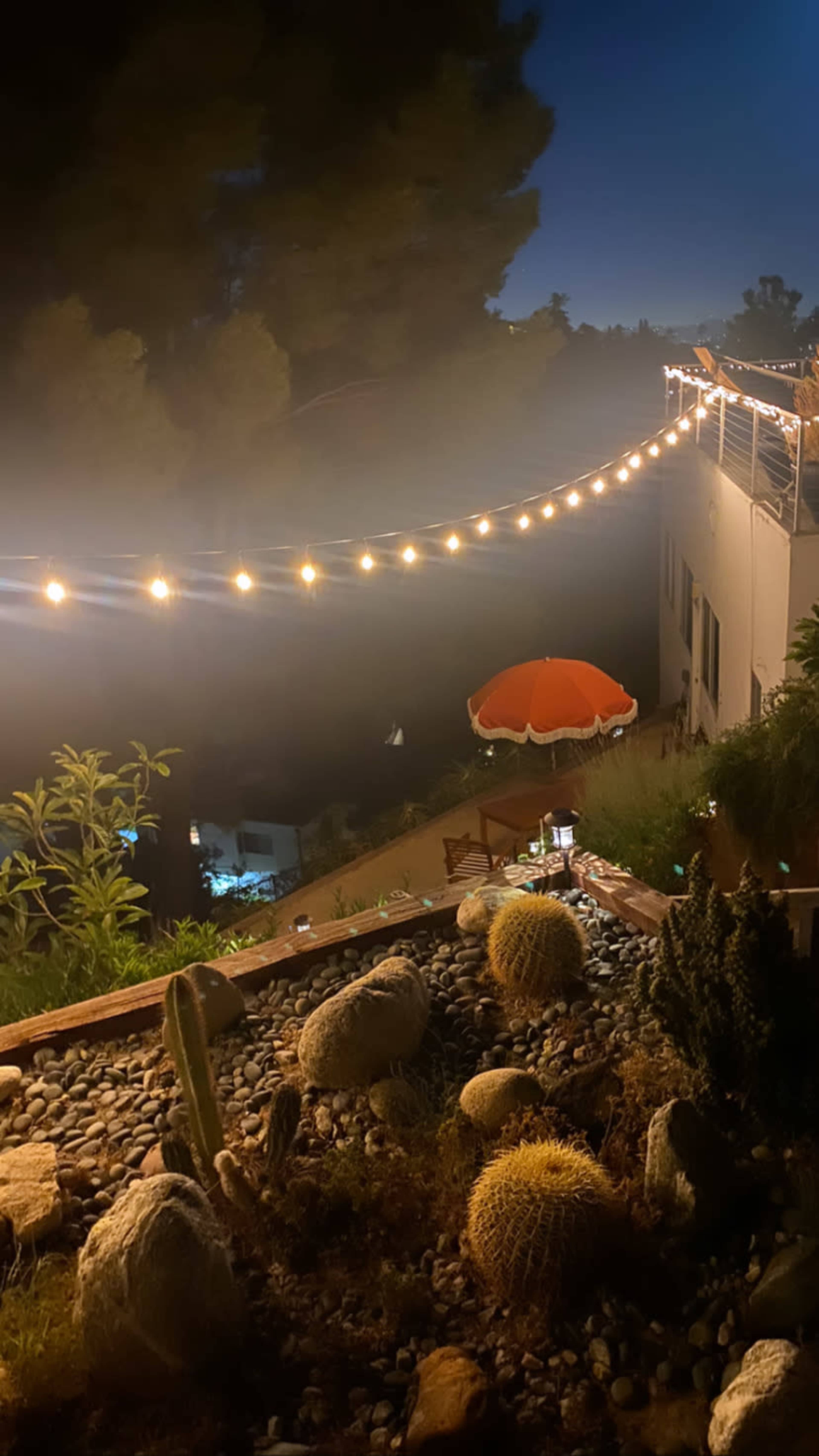 The image shows a hillside garden at night, featuring string lights above, a red umbrella, and various cacti and rocks in the foreground.