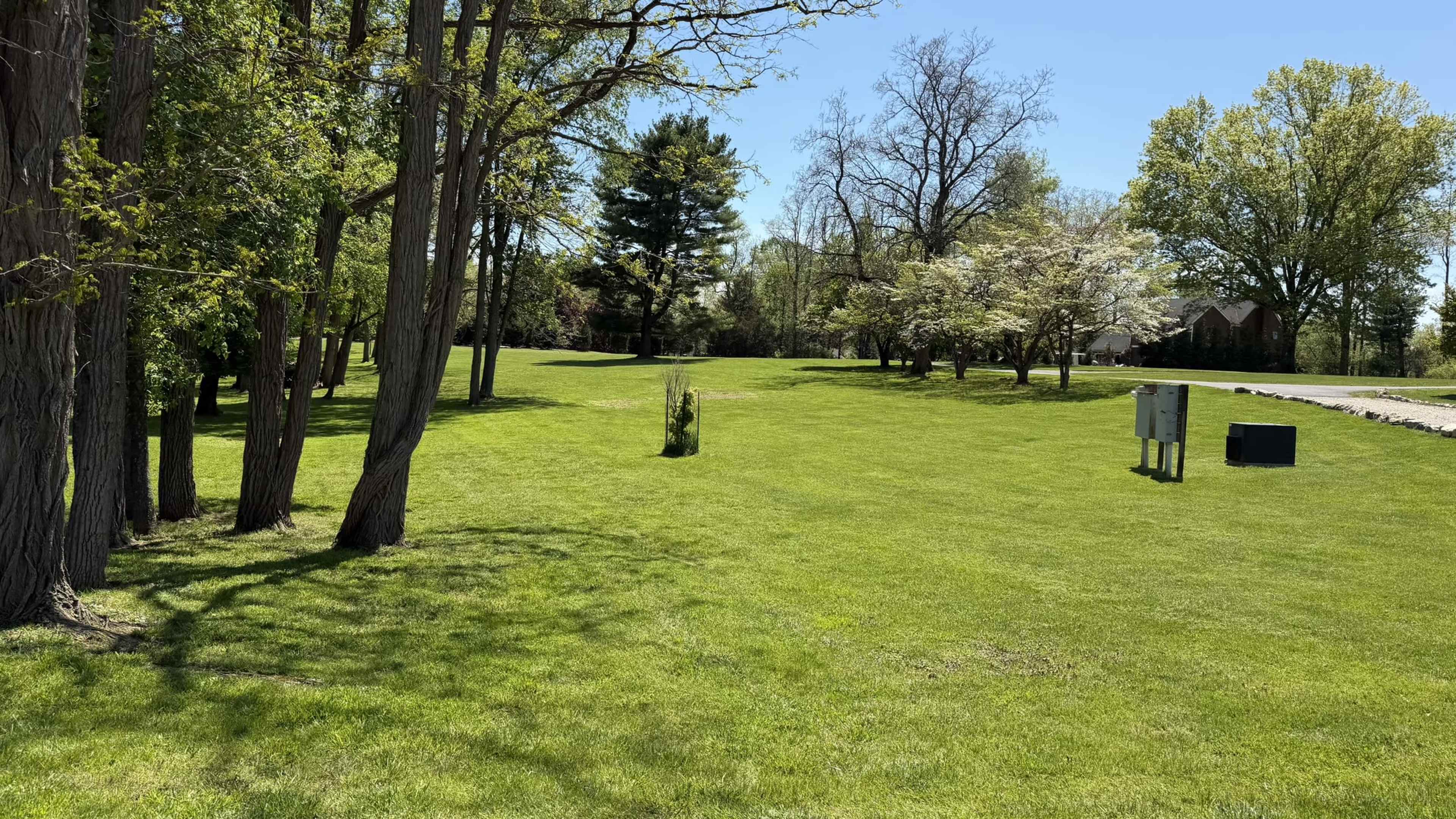 The image shows a wide, grassy area lined with trees and a clear blue sky in the background.