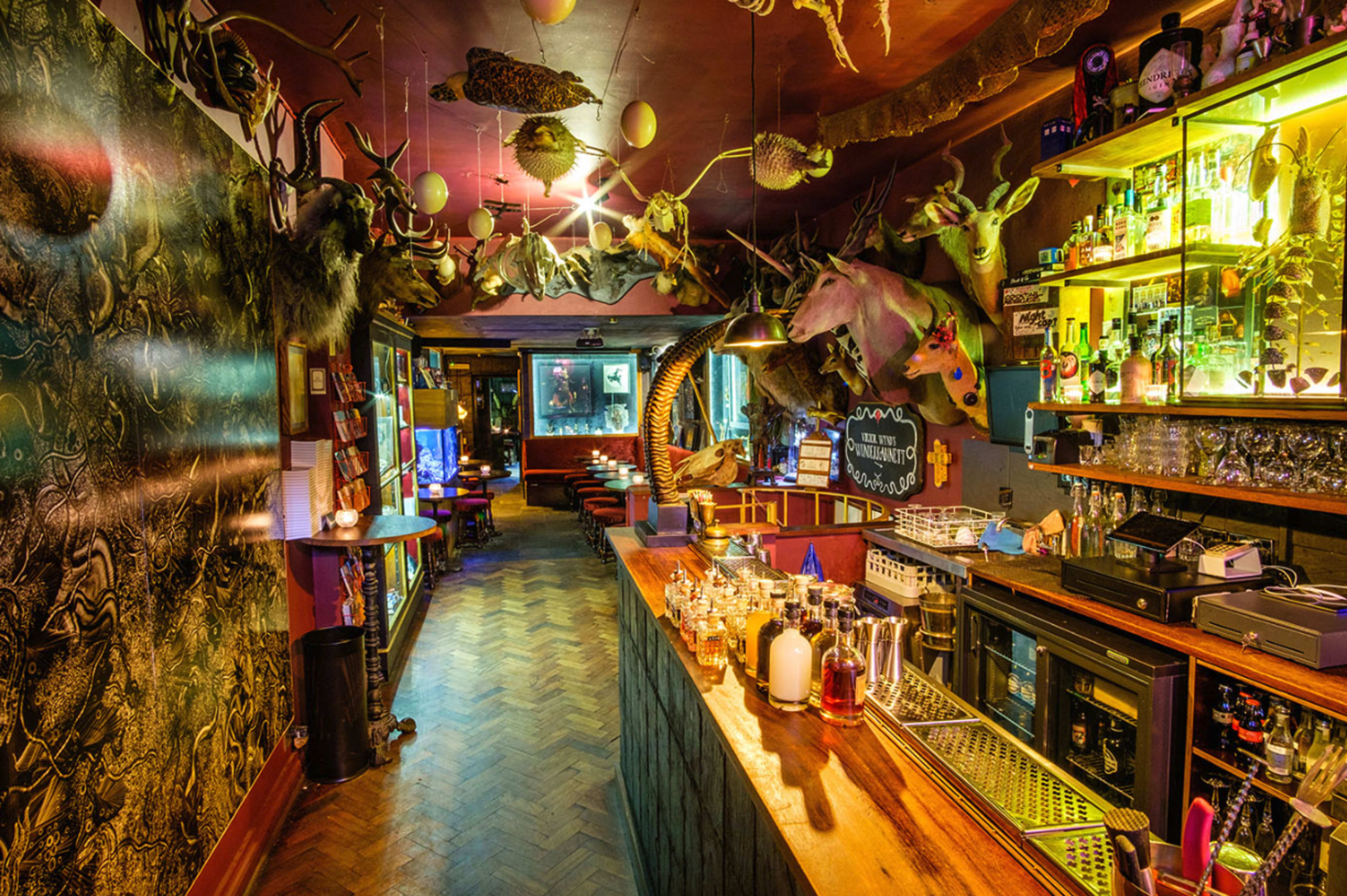 The image shows the interior of a bar decorated with taxidermy animals and colorful lighting along the bar counter.