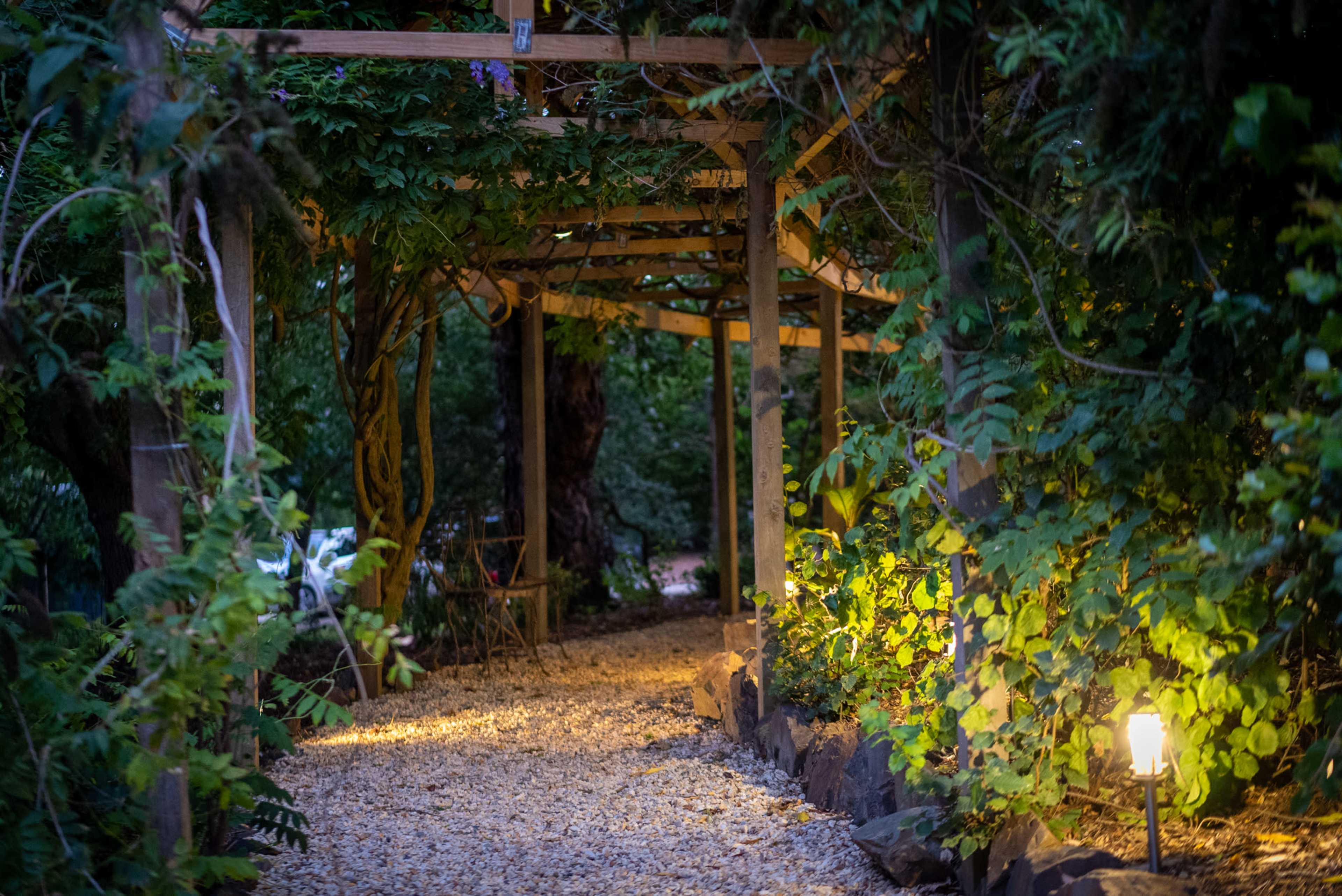 A gravel path lined with greenery leads under a wooden pergola illuminated by soft lights.