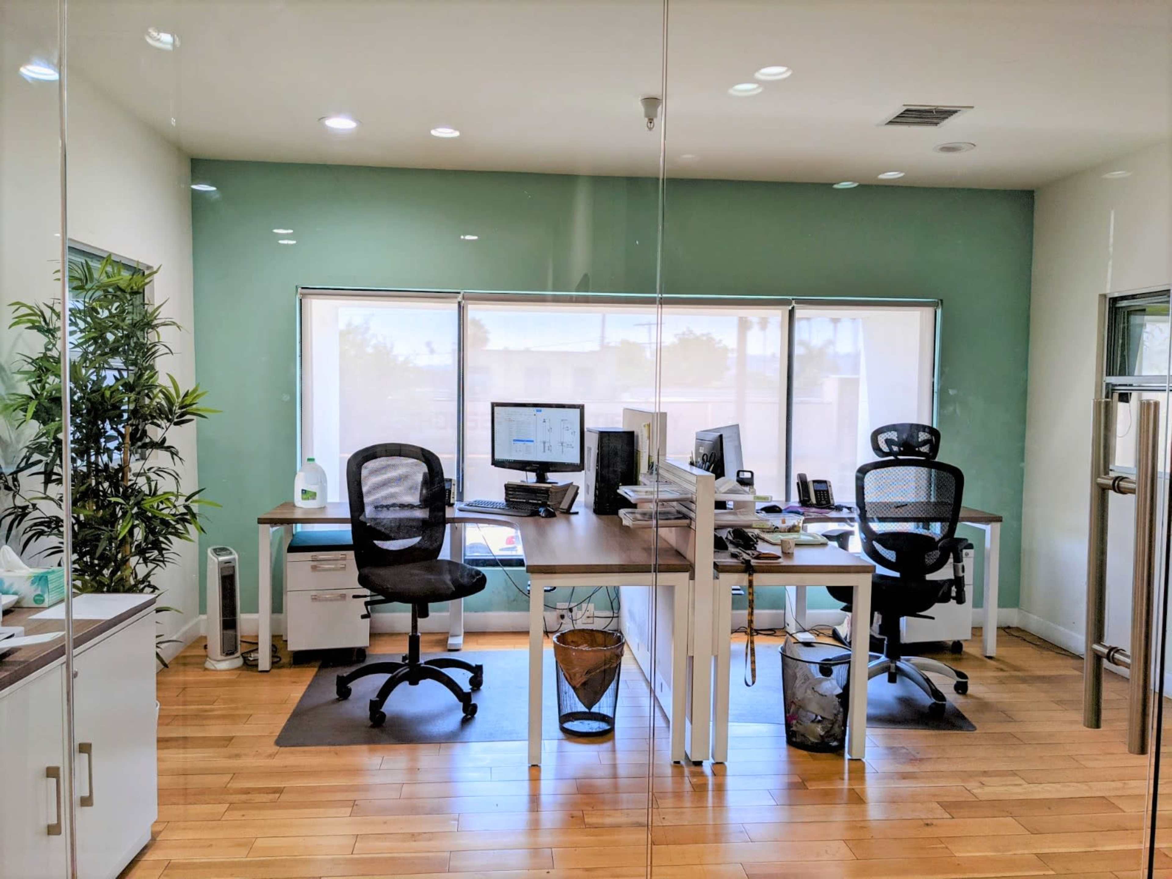 A modern office with two desks, each equipped with computers, situated against a green wall and large windows.