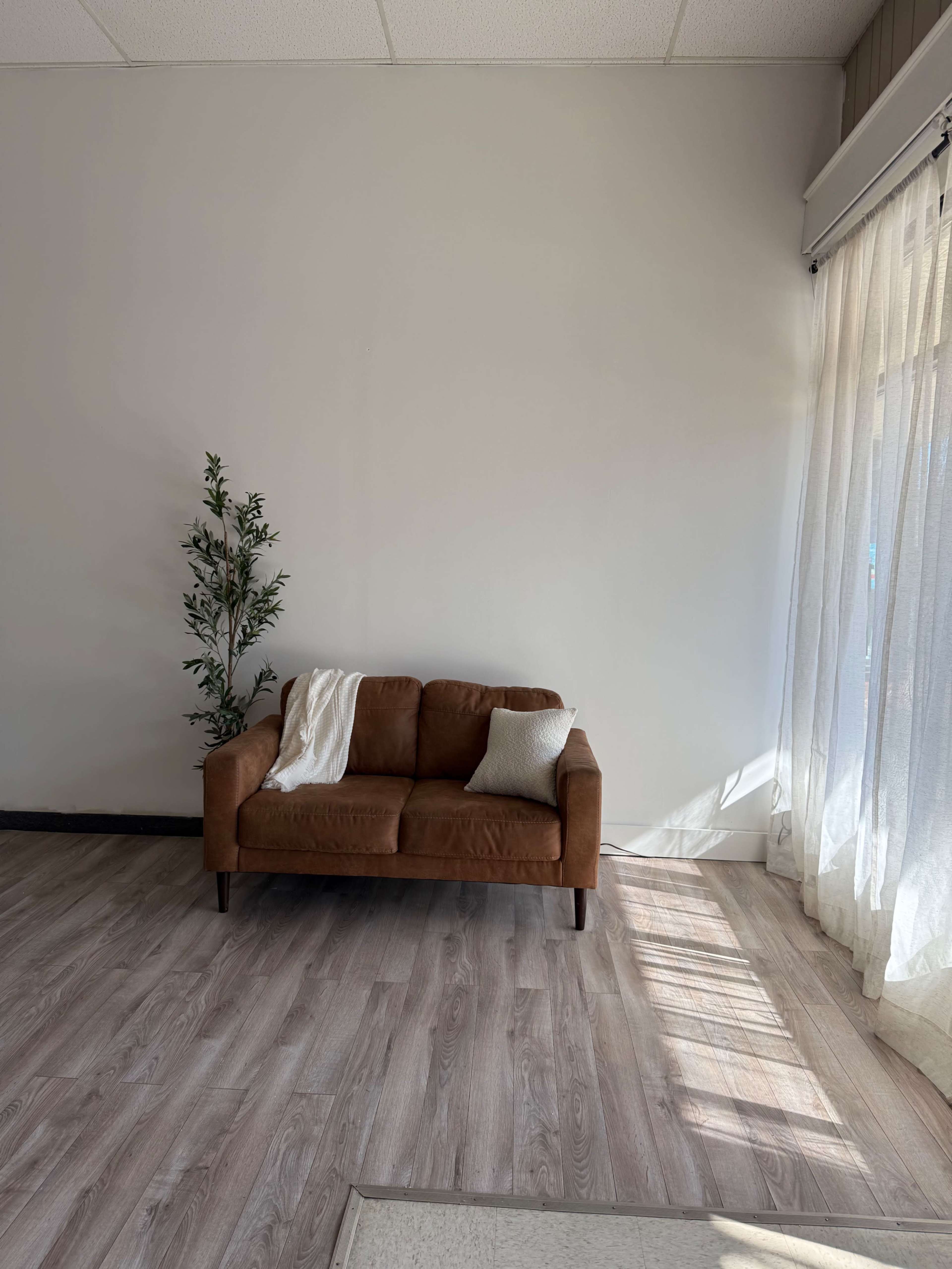 A brown loveseat is positioned against a light gray wall in a sunlit room with sheer white curtains and a small potted plant nearby.