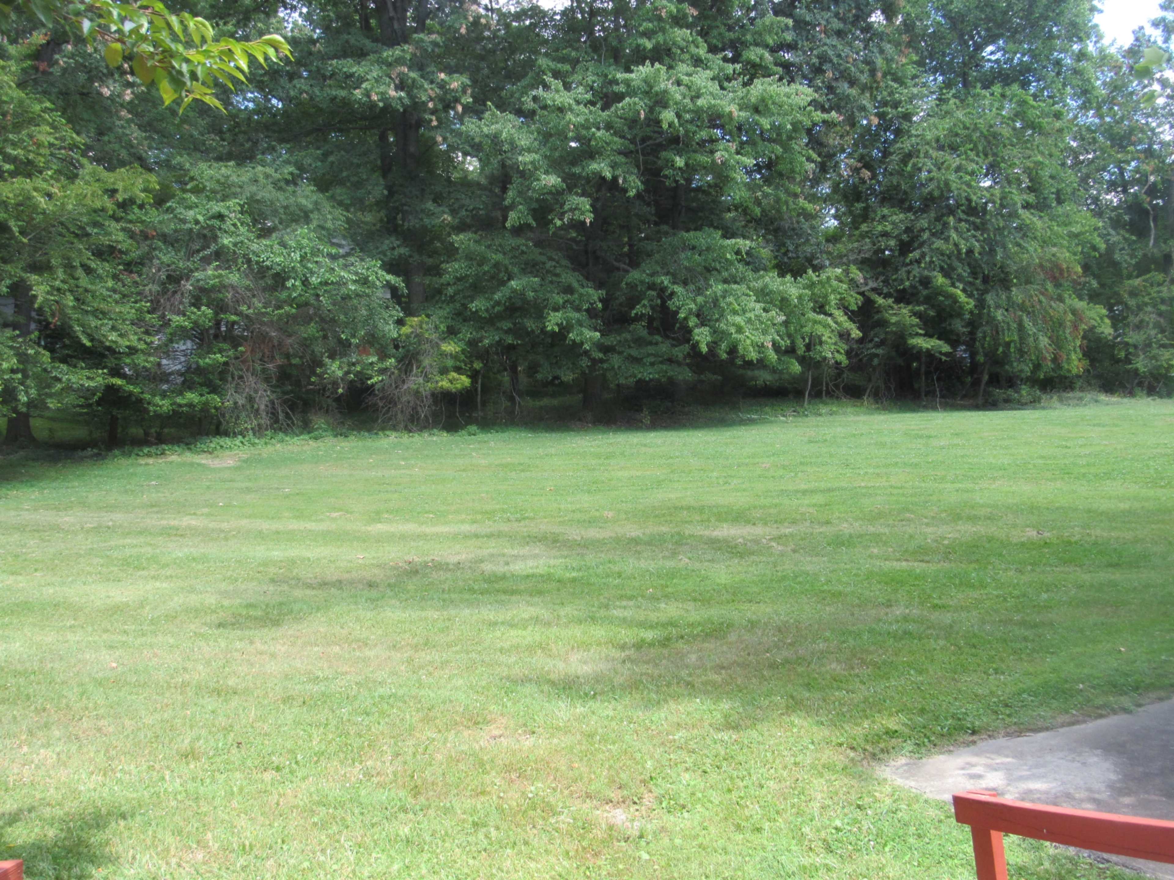A green, grassy yard leads to a dense area of trees in the background.
