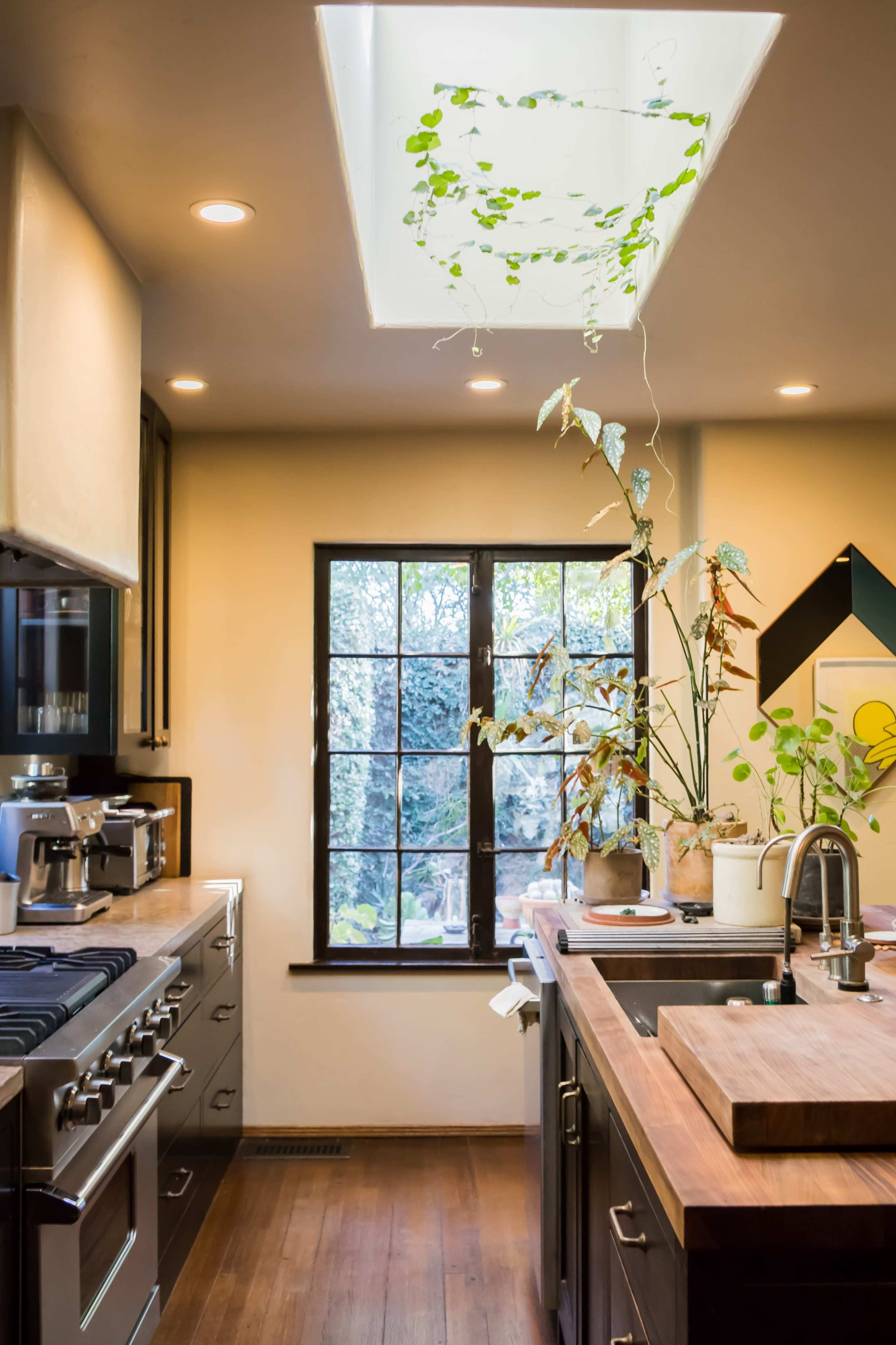 A modern kitchen featuring stainless steel appliances, a large wooden countertop, and a window with plants visible outside.
