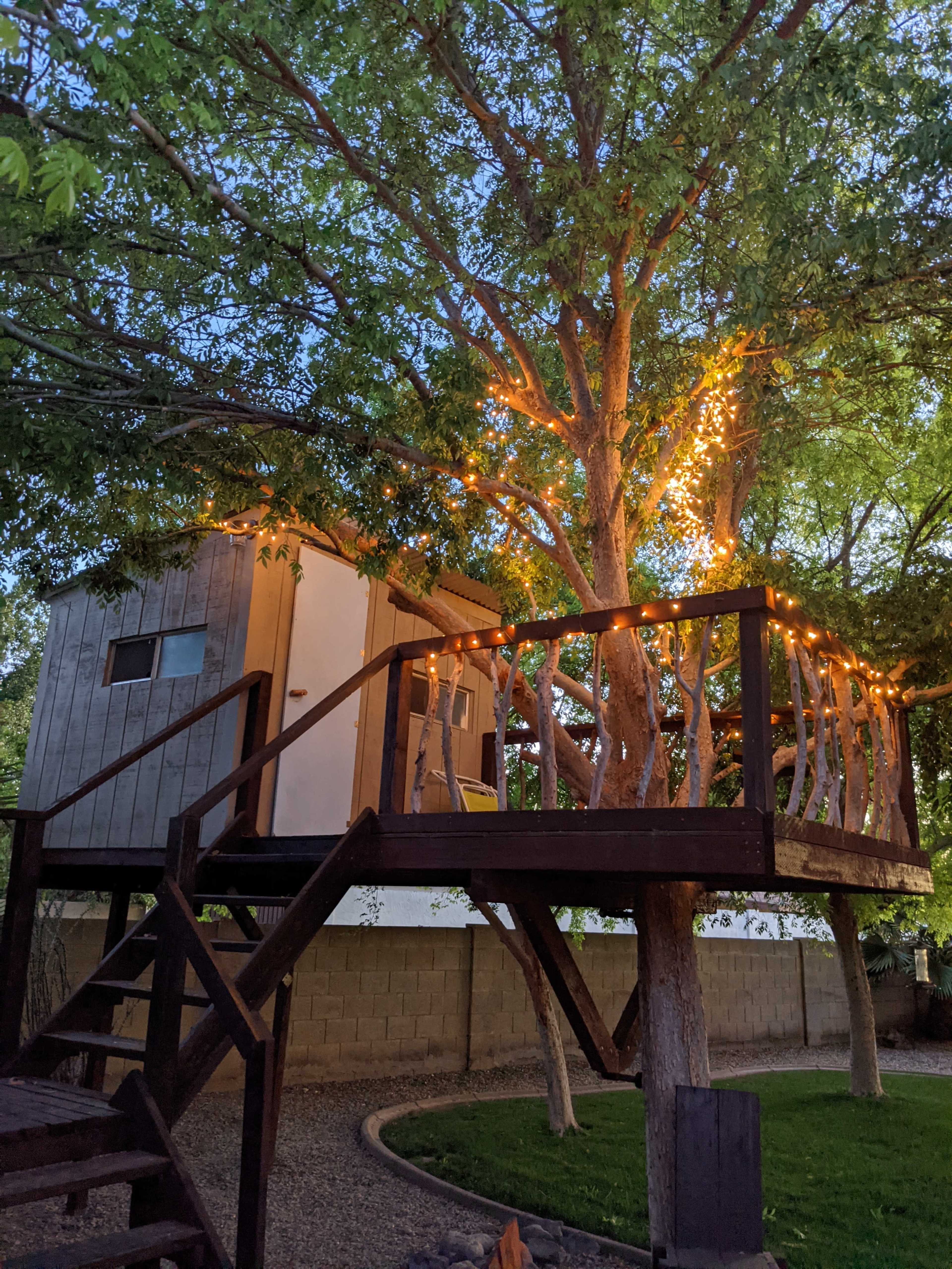 A wooden treehouse, illuminated by string lights, is built among the branches of a tree and accessed by a set of stairs.
