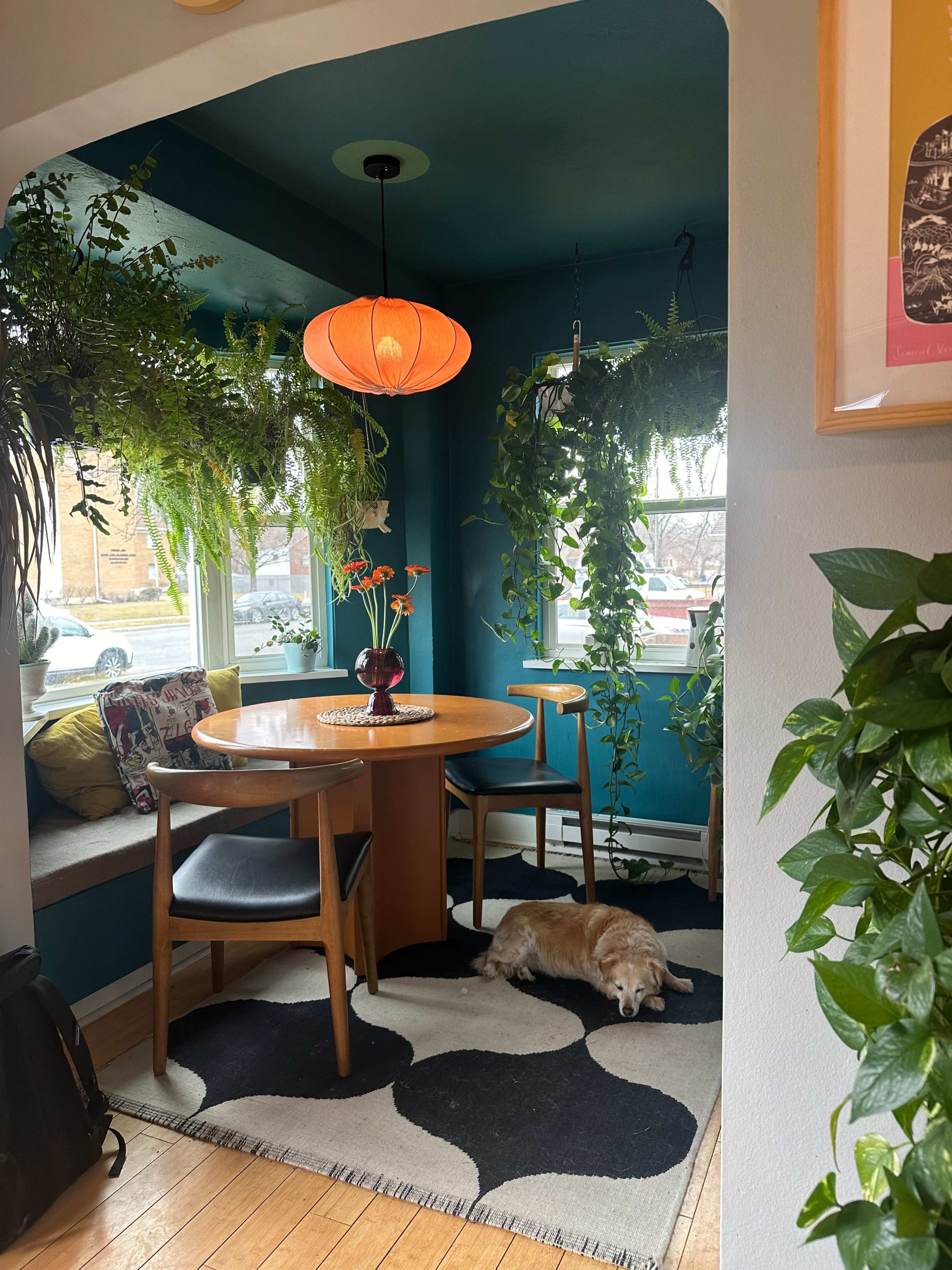 A cozy dining nook features a round table surrounded by plants, with a sleeping dog on a patterned rug nearby.