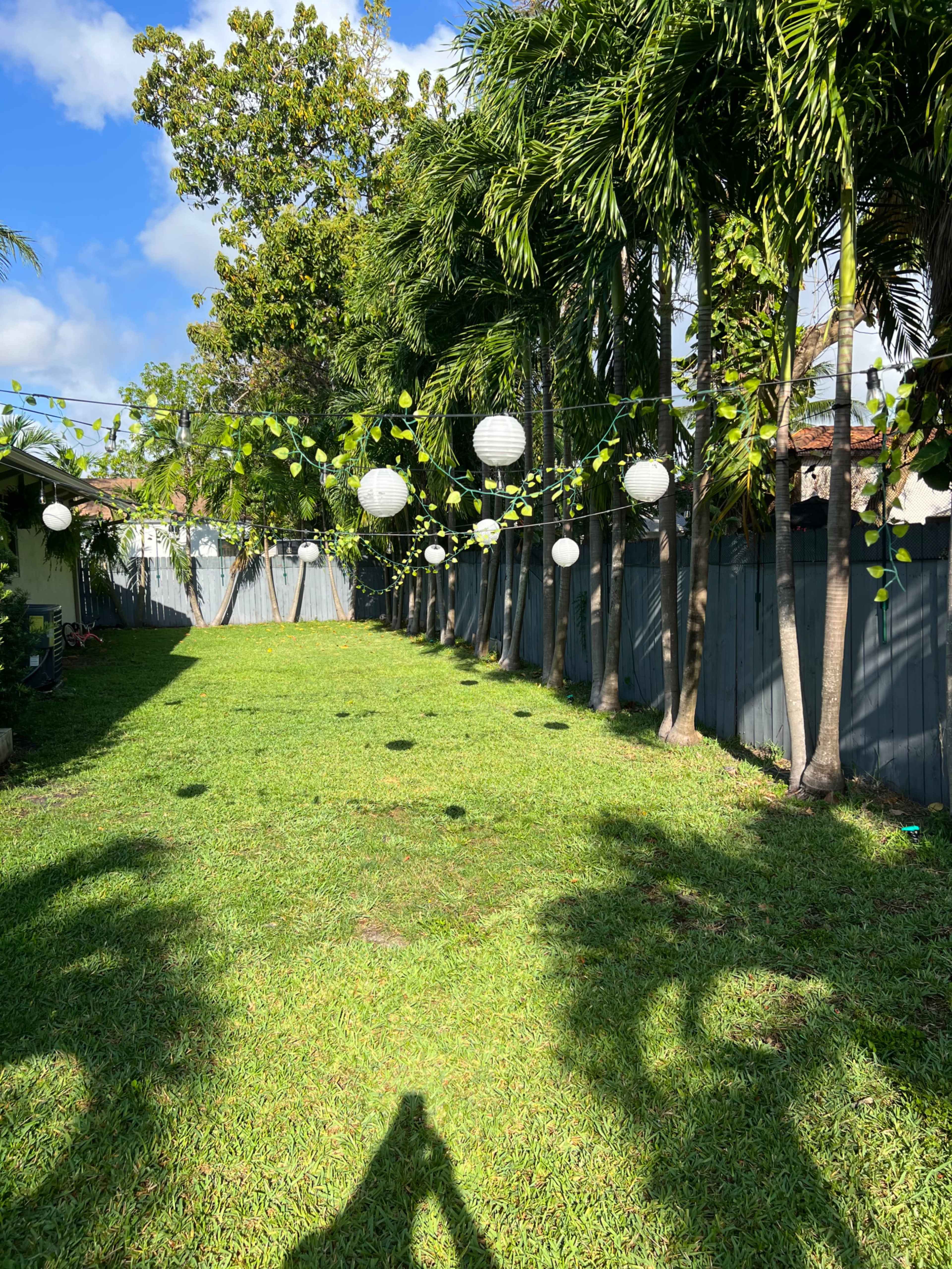 A spacious, grassy backyard is lined with palm trees and adorned with hanging white lanterns.