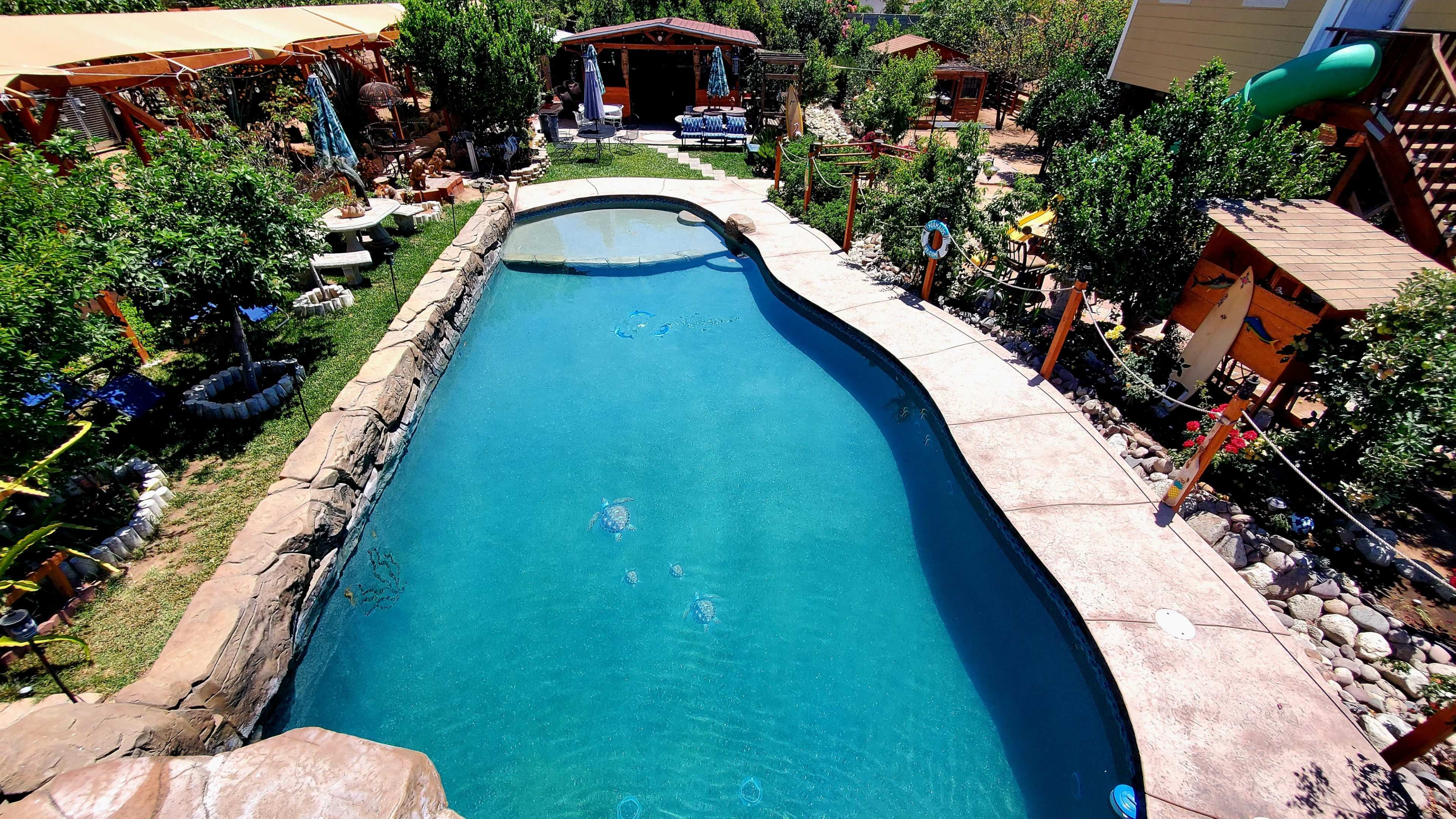 The image shows a curved swimming pool surrounded by rocks and greenery, with lounge chairs and a wooden structure in the background.