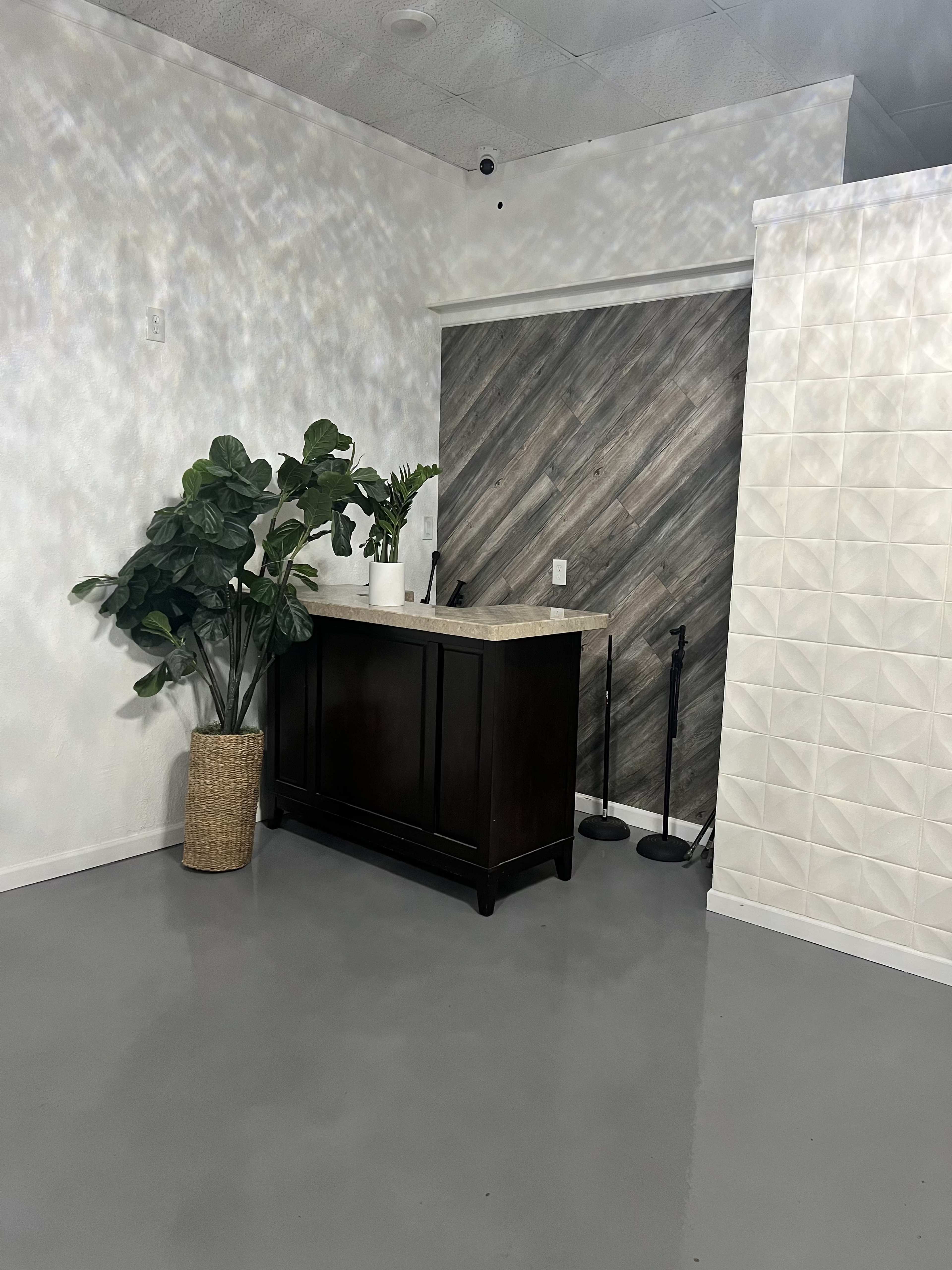 A reception area with a dark wooden counter, a large potted plant, and a textured white wall.