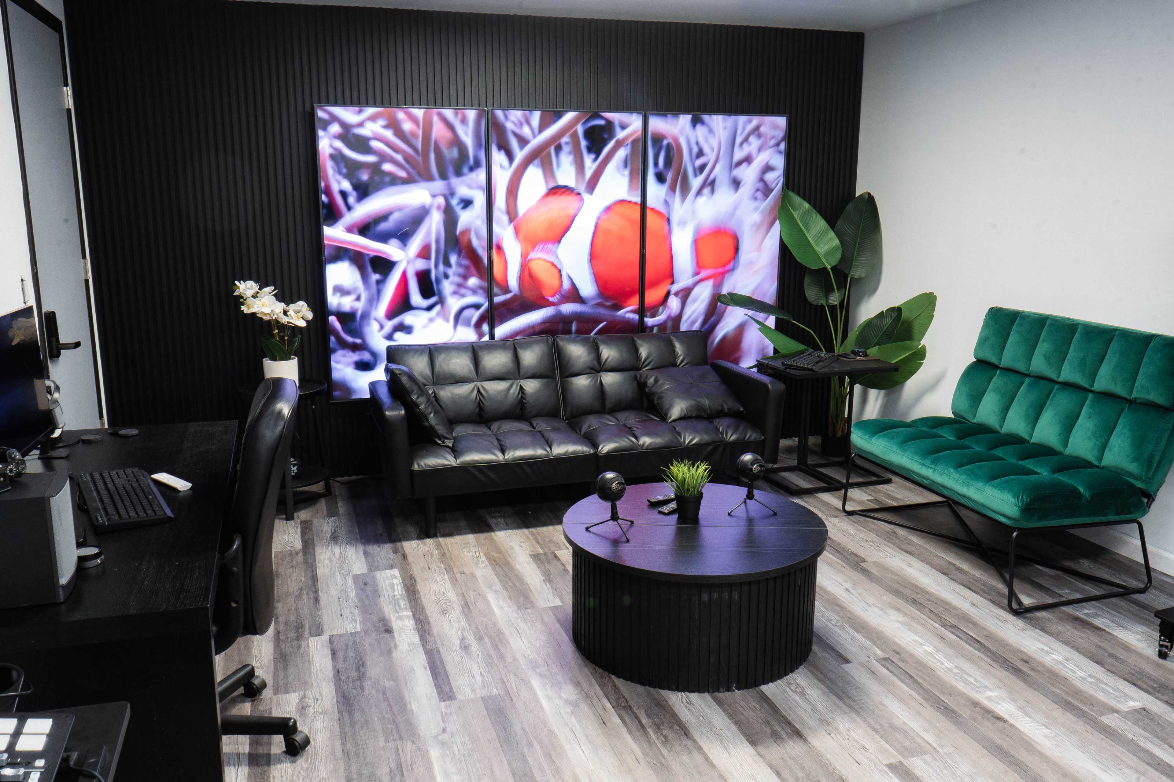 Versatile Podcast Room with TV Wall Image in Islip, Bay Shore, NY